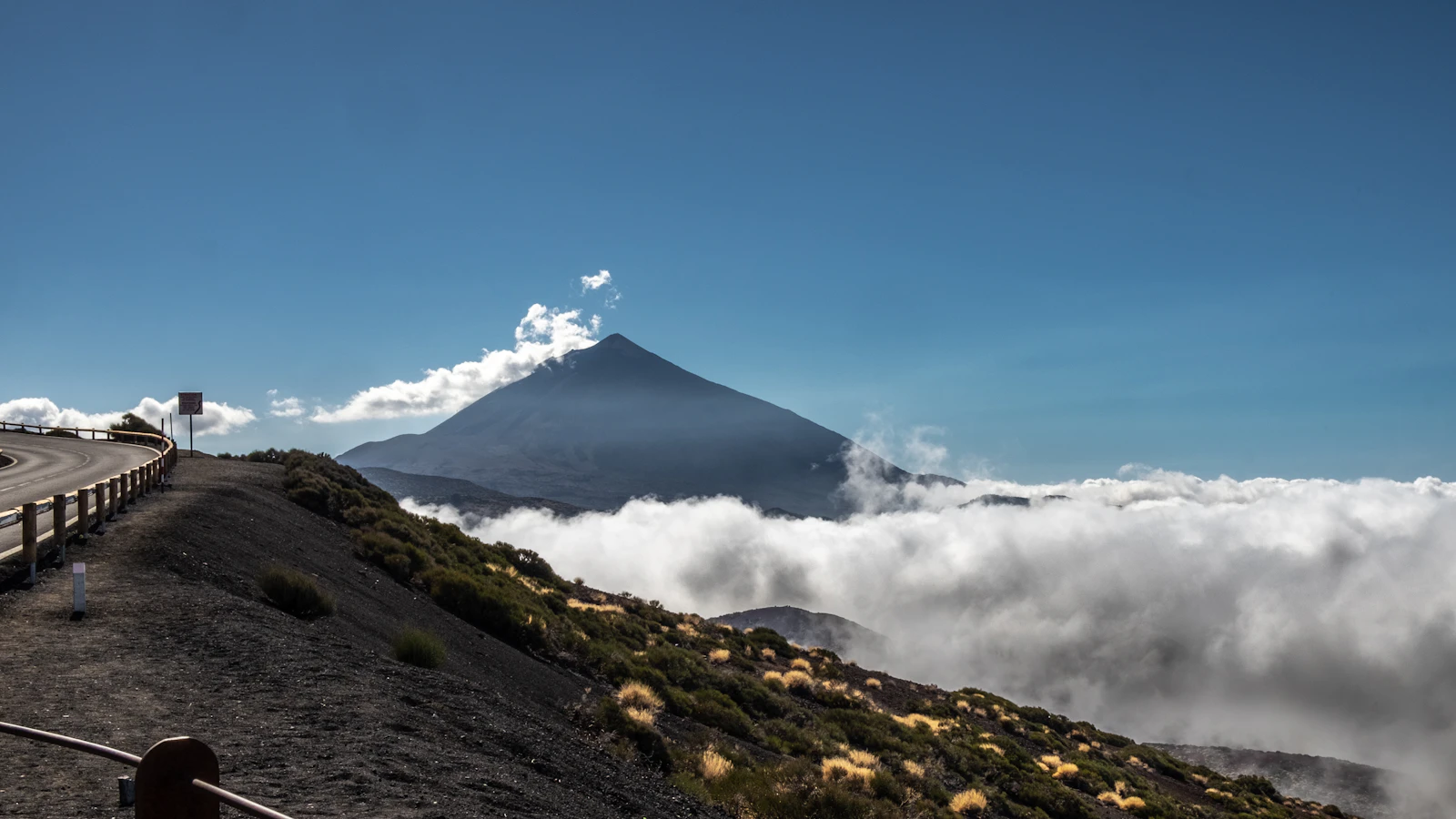 Santa Cruz de Tenerife, Spain photo 19 by Elijah G