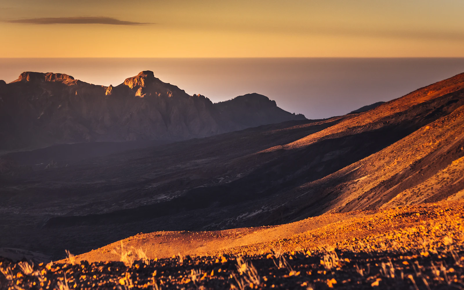 Santa Cruz de Tenerife, Spain photo 30 by Marek Piwnicki