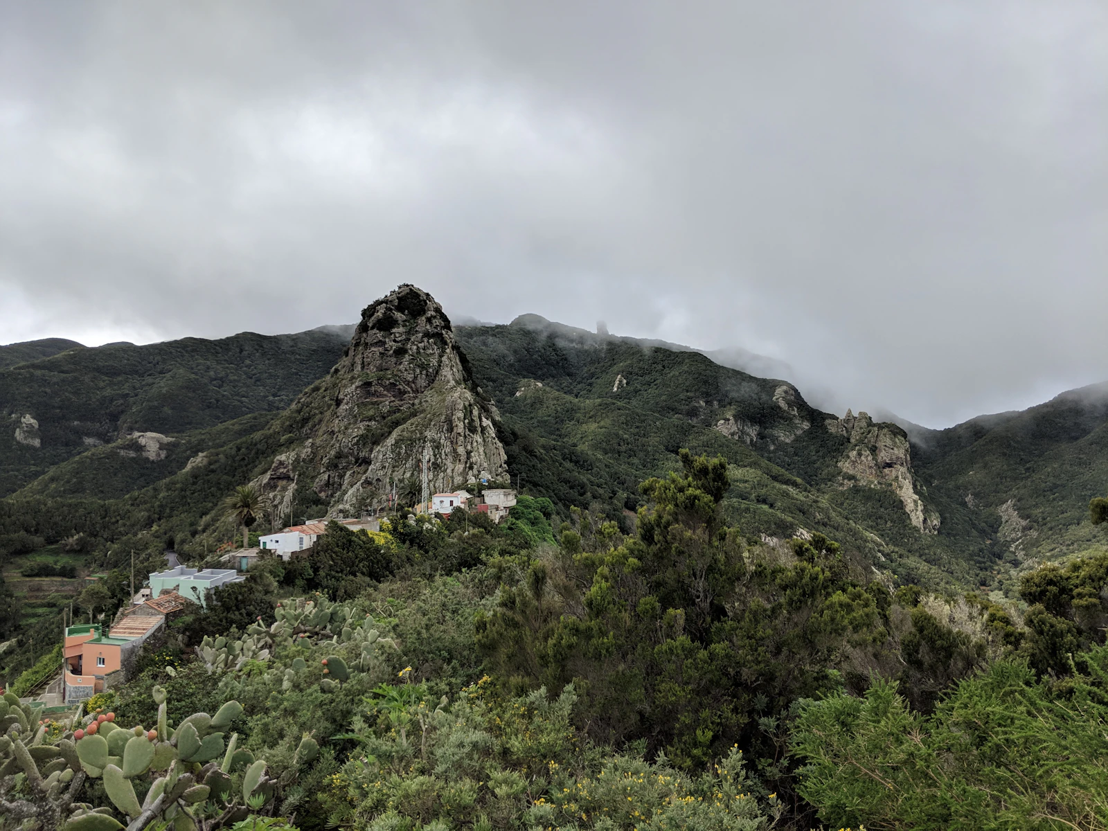 Santa Cruz de Tenerife, Spain photo 25 by Ivanna Hrytsiuk