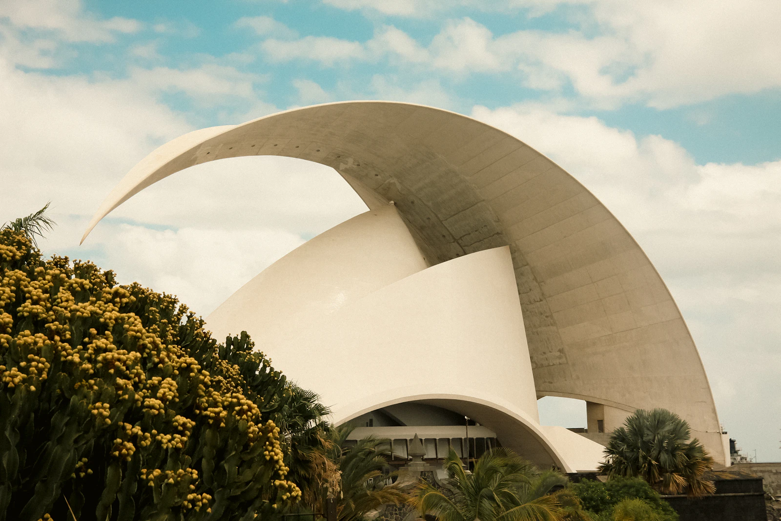 Santa Cruz de Tenerife, Spain photo 13 by Maja Daskalovska