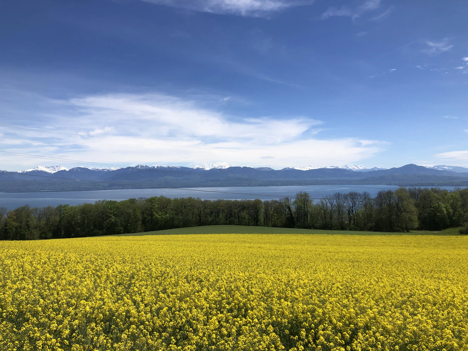 Geneva, Switzerland photo 13 by Semen Manushko