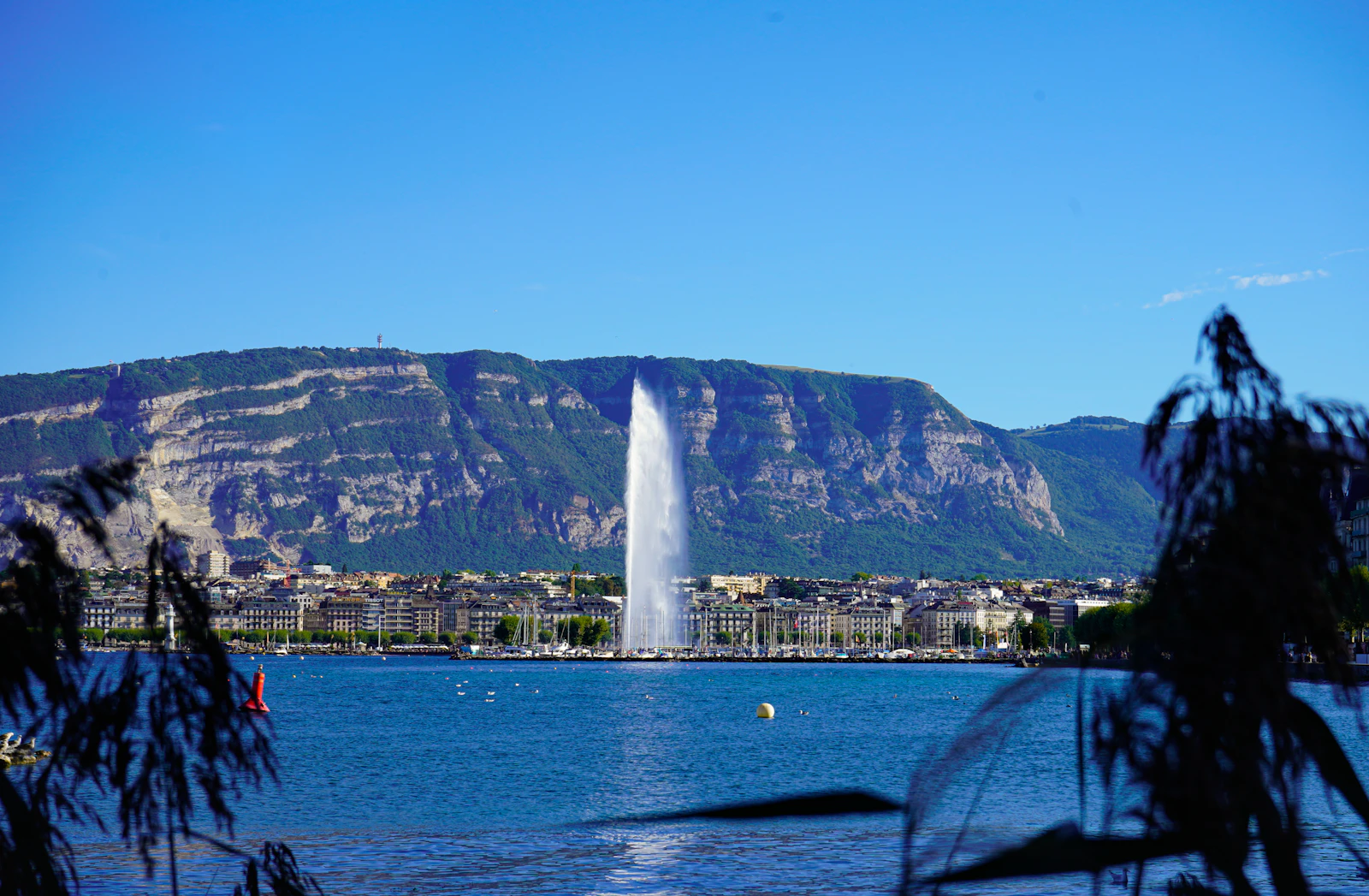 Geneva, Switzerland photo 9 by Meizhi Lang