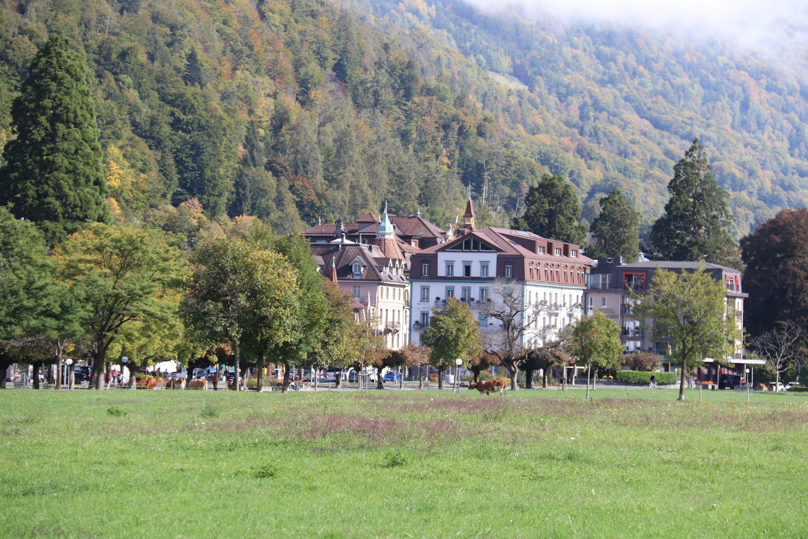 Interlaken, Switzerland photo 25 by Shalev Cohen