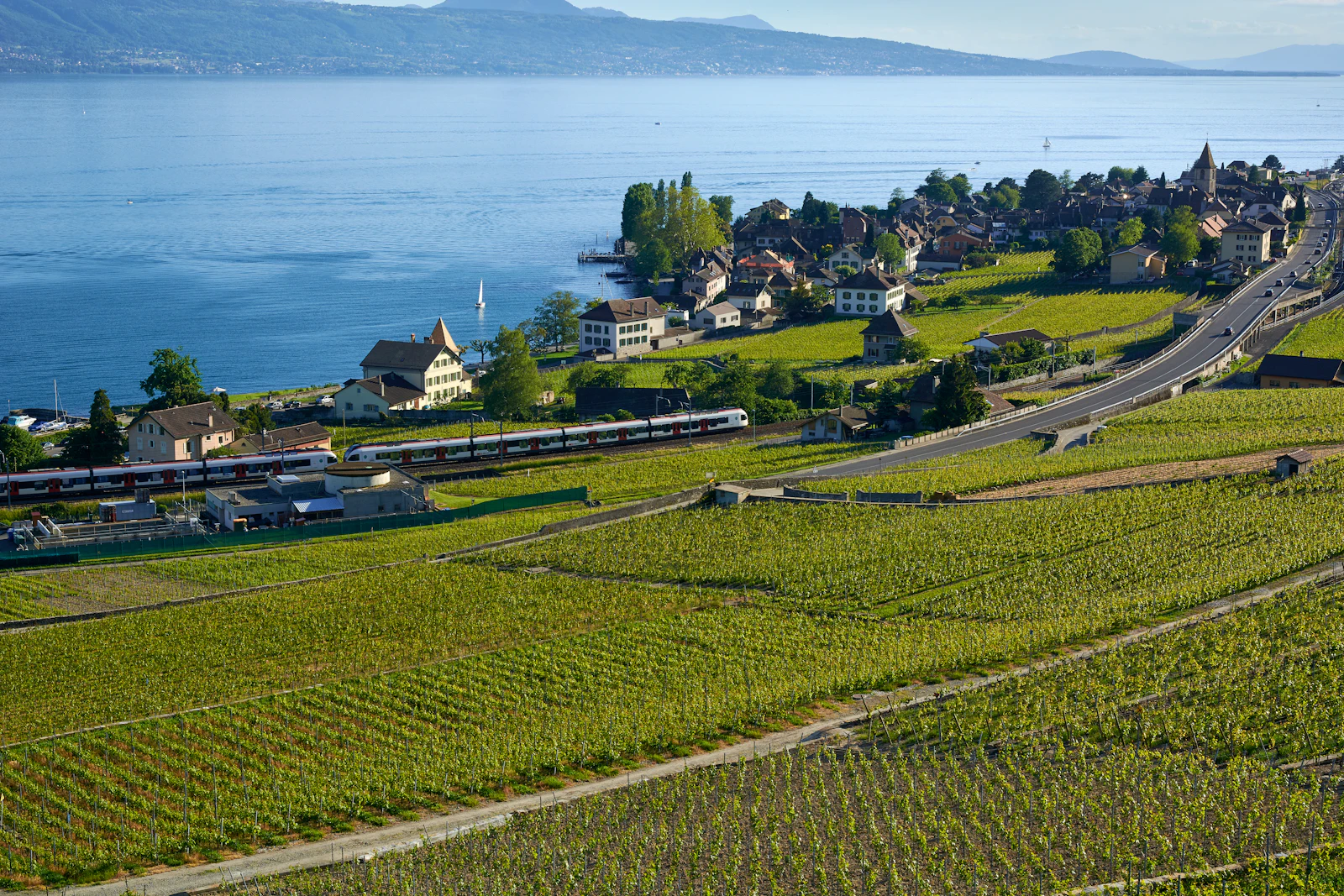 Lausanne, Switzerland photo 15 by Oksana Bürki