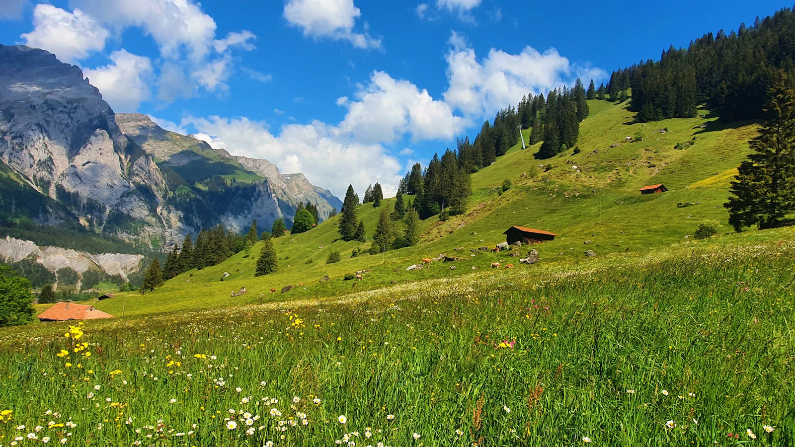 Zermatt, Switzerland photo 11 by Aman Garg
