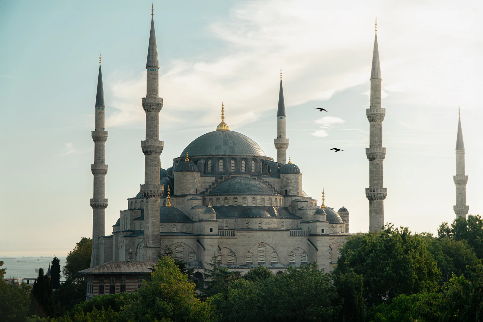 Istanbul, Türkiye photo 2 by Paul Bill