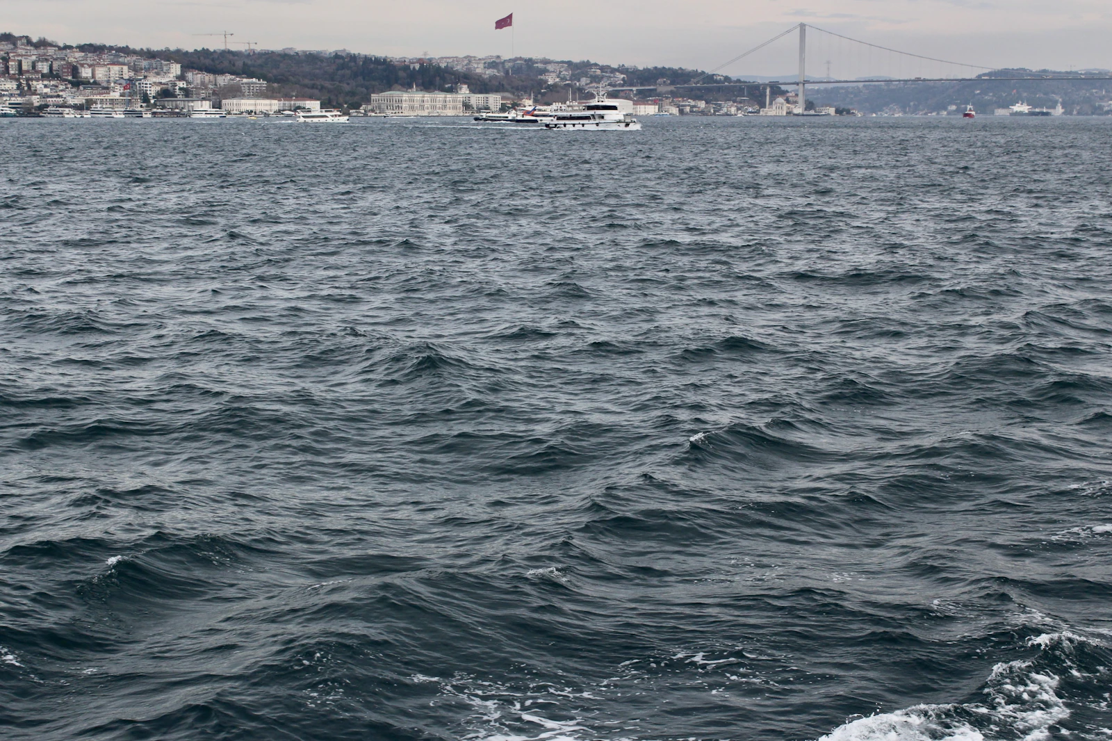 Istanbul, Türkiye photo 17 by rü