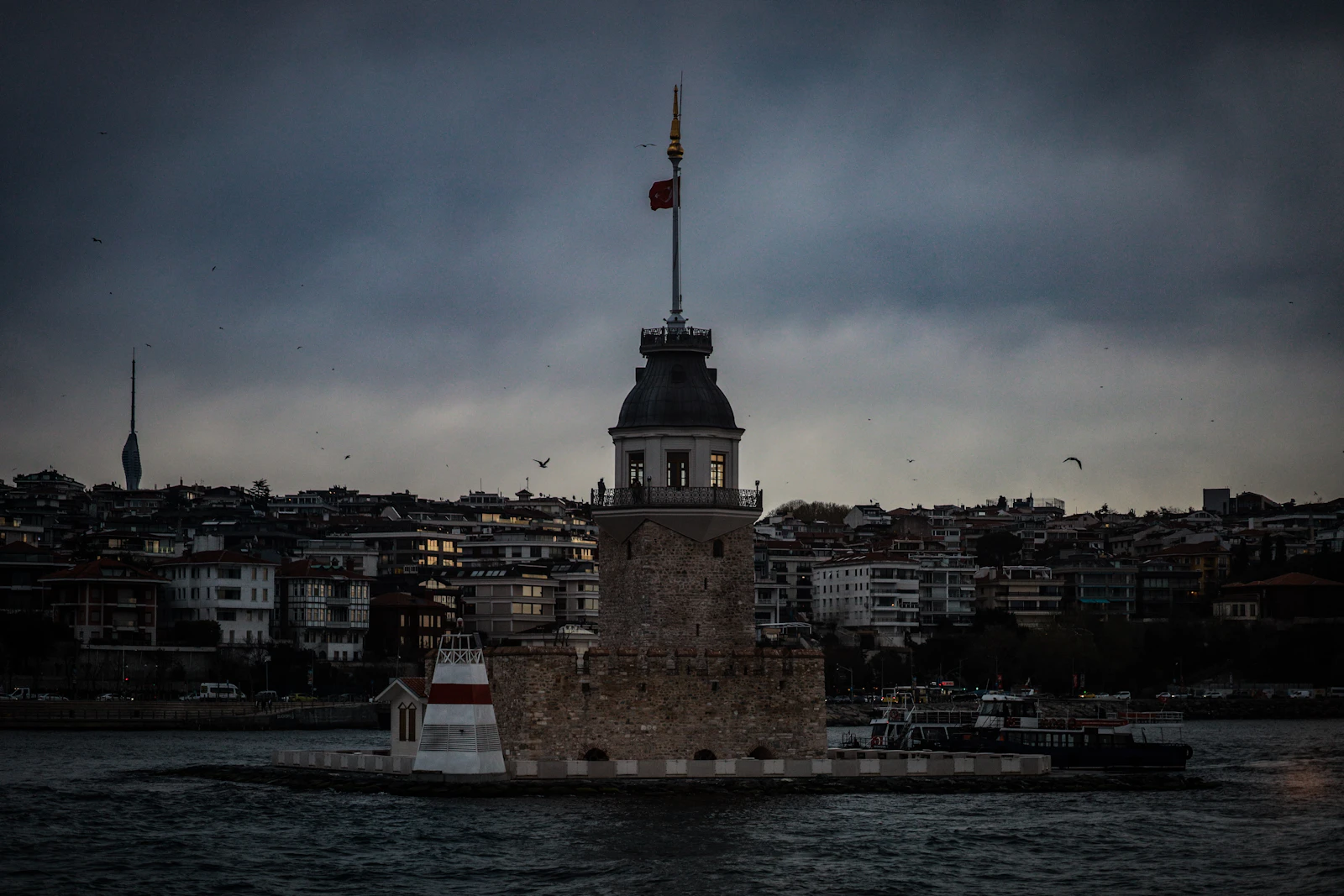 Istanbul, Türkiye photo 19 by defne heybeli