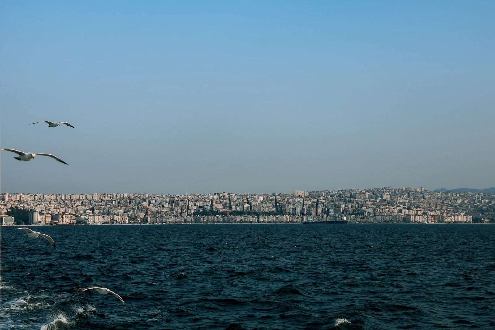 Izmir, Türkiye photo 1 by Enes Doğan