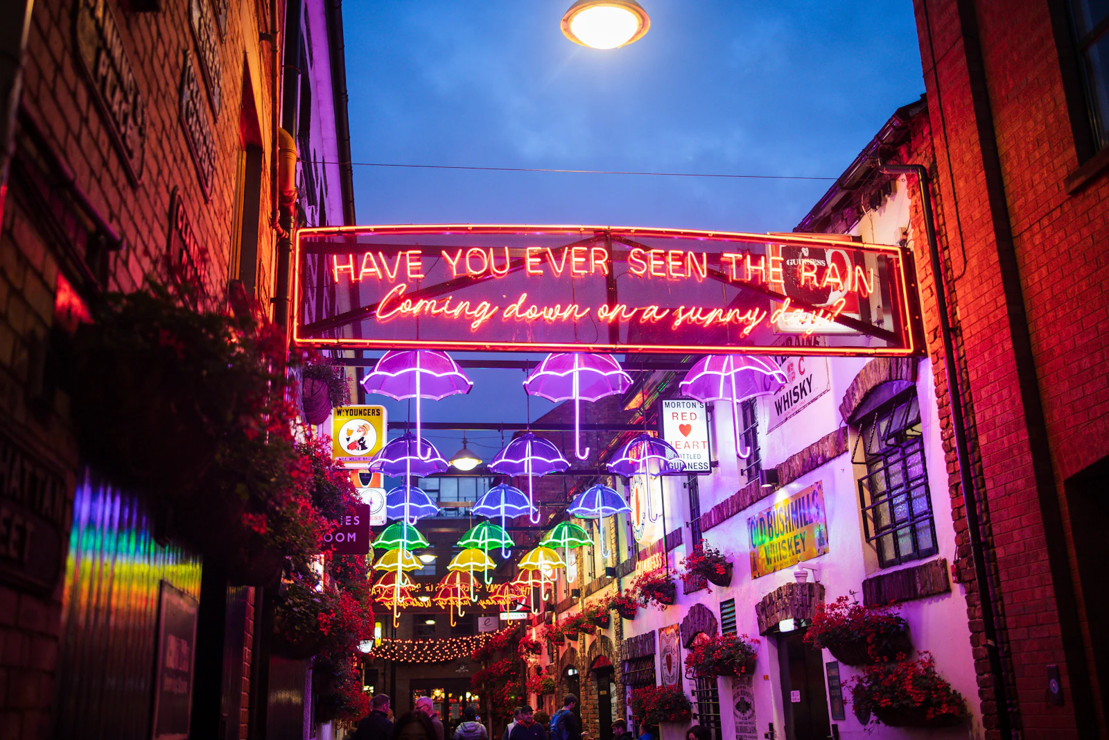 Belfast, United Kingdom photo 14 by Korng Sok