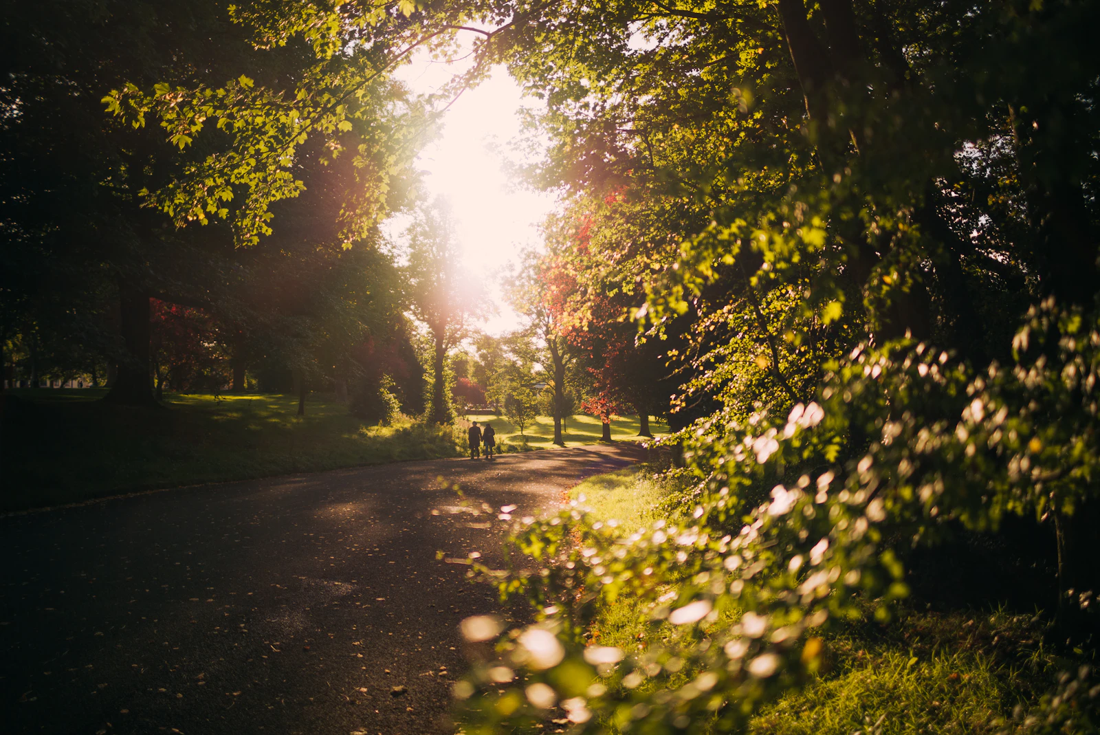 Belfast, United Kingdom photo 6 by Nils Nedel