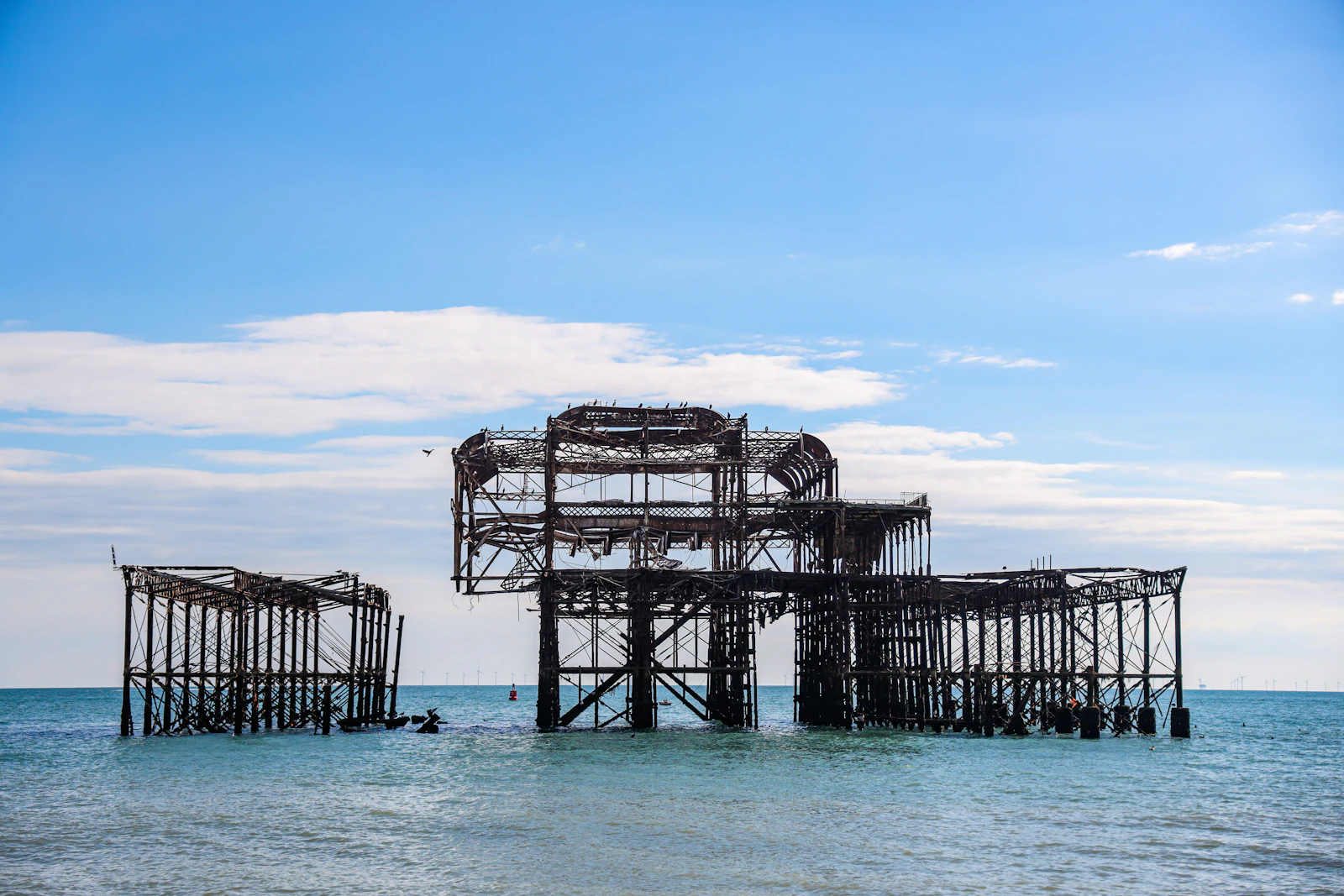Brighton, United Kingdom photo 30 by Janice Kwong