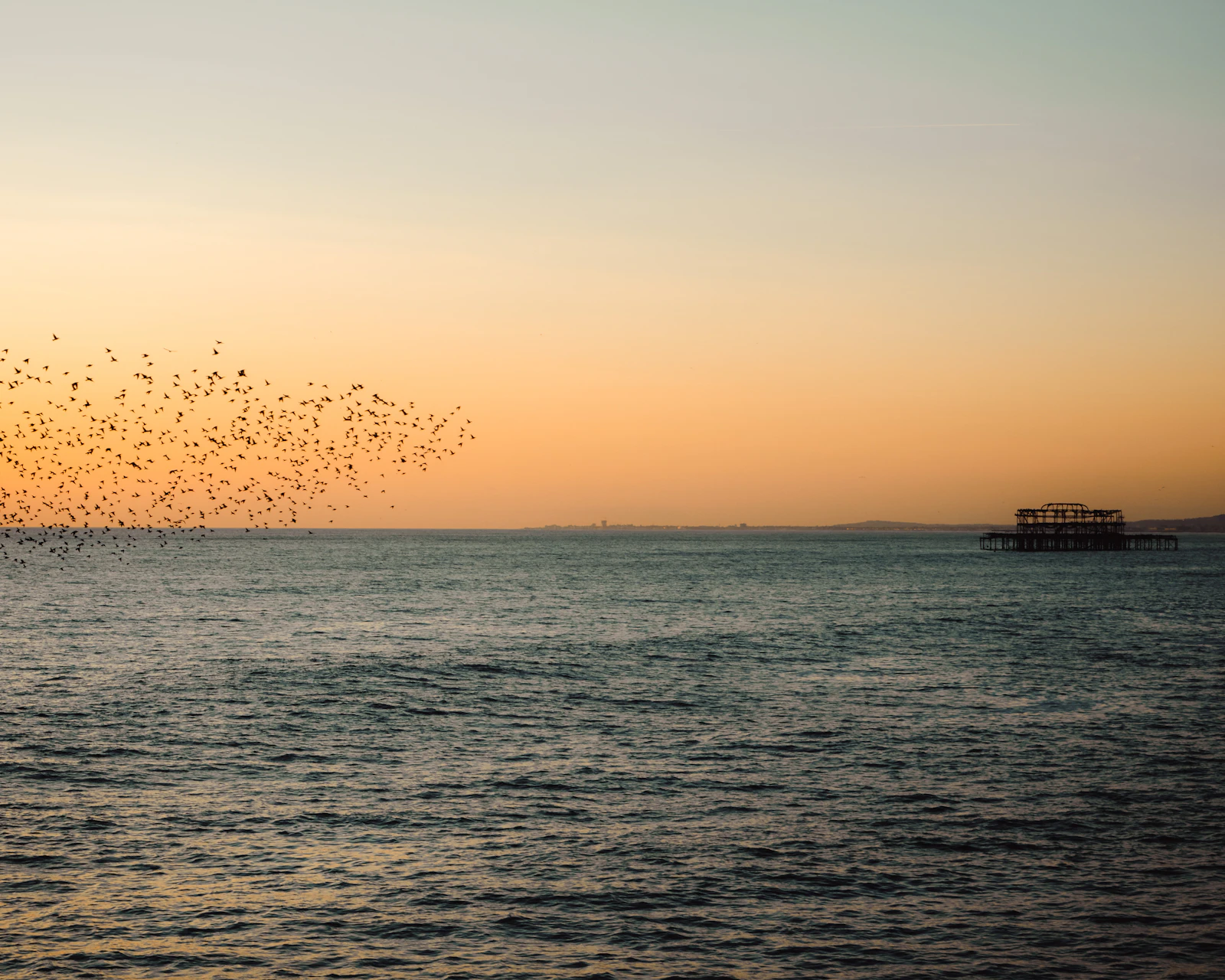 Brighton, United Kingdom photo 18 by Rhys Kentish