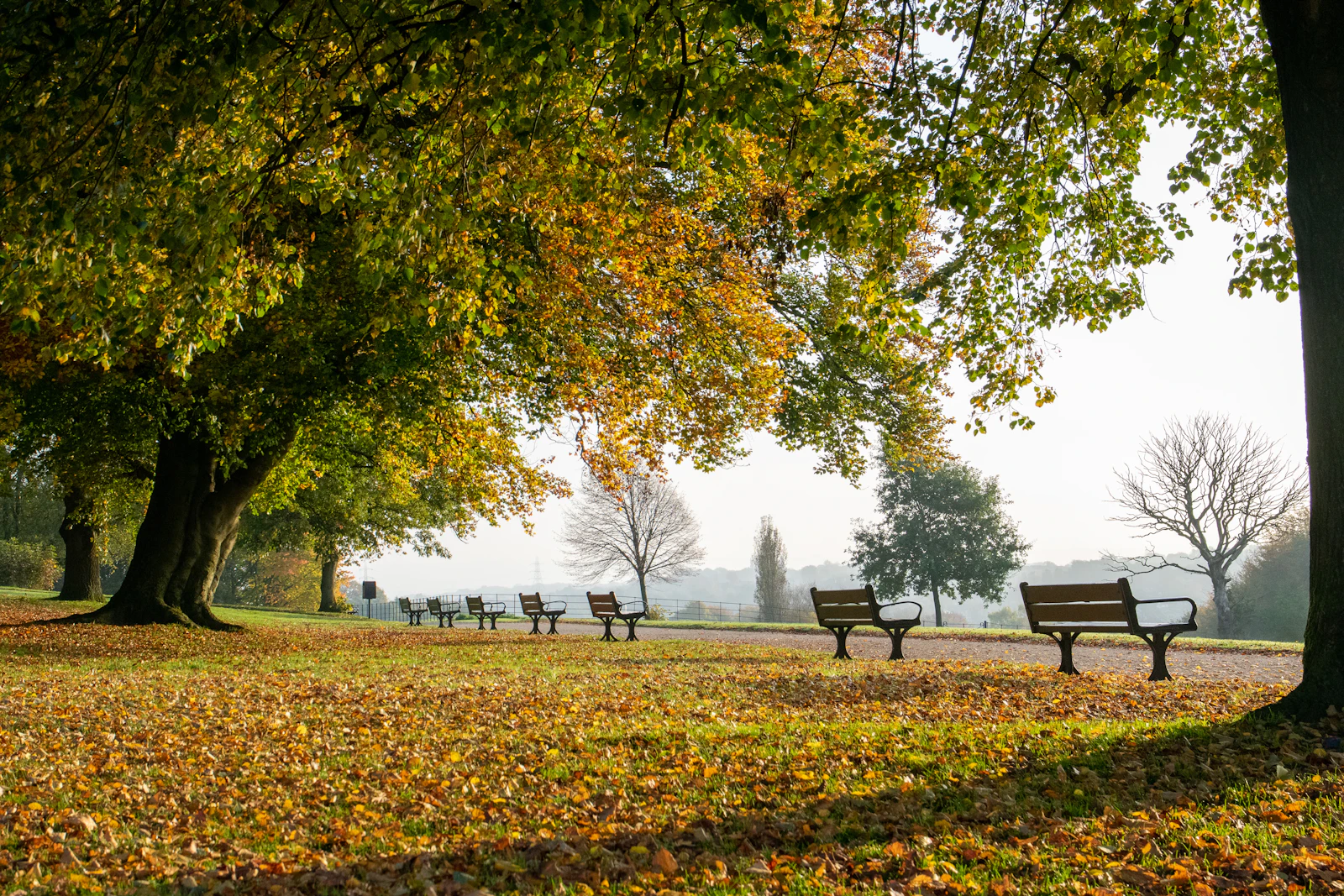 Manchester, United Kingdom photo 14 by Kateryna Tyshkul