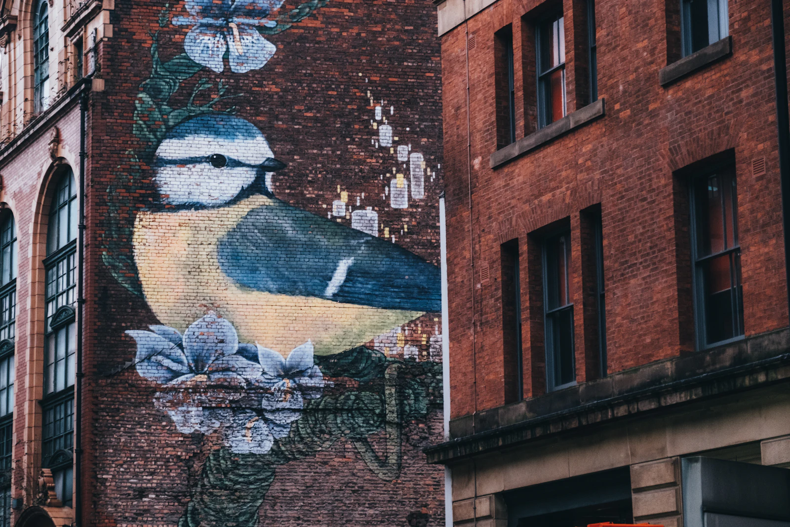 Manchester, United Kingdom photo 12 by Patrick Robert Doyle