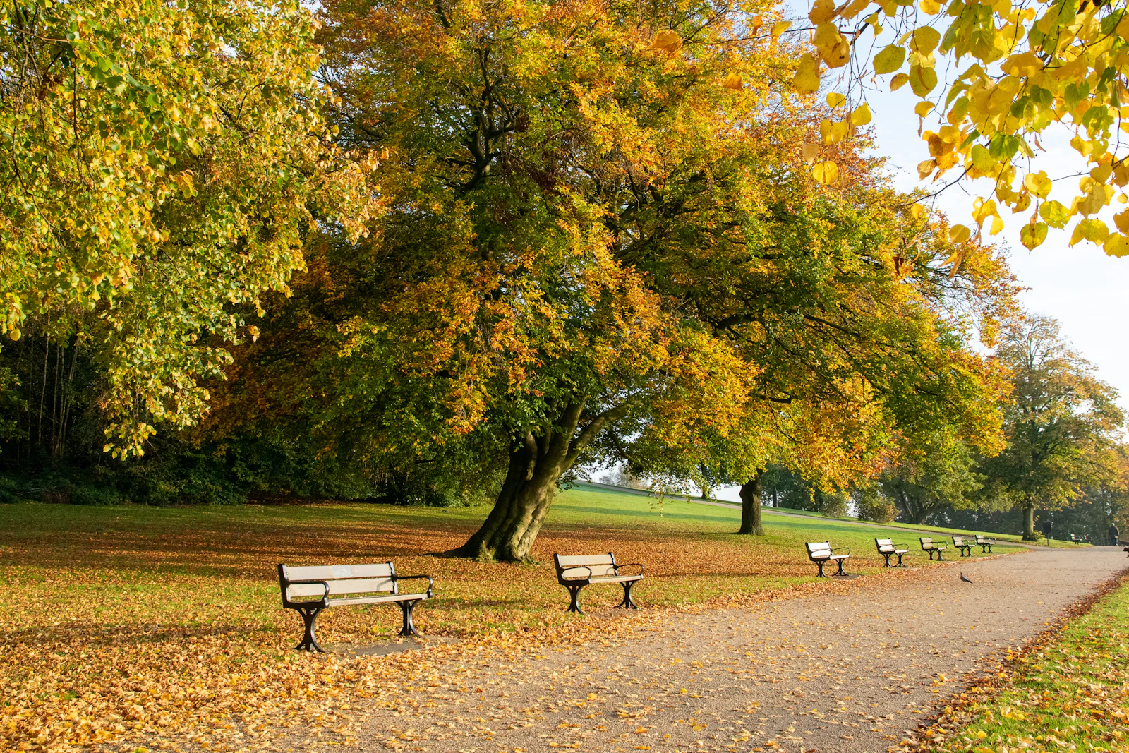 Manchester, United Kingdom photo 18 by Kateryna Tyshkul