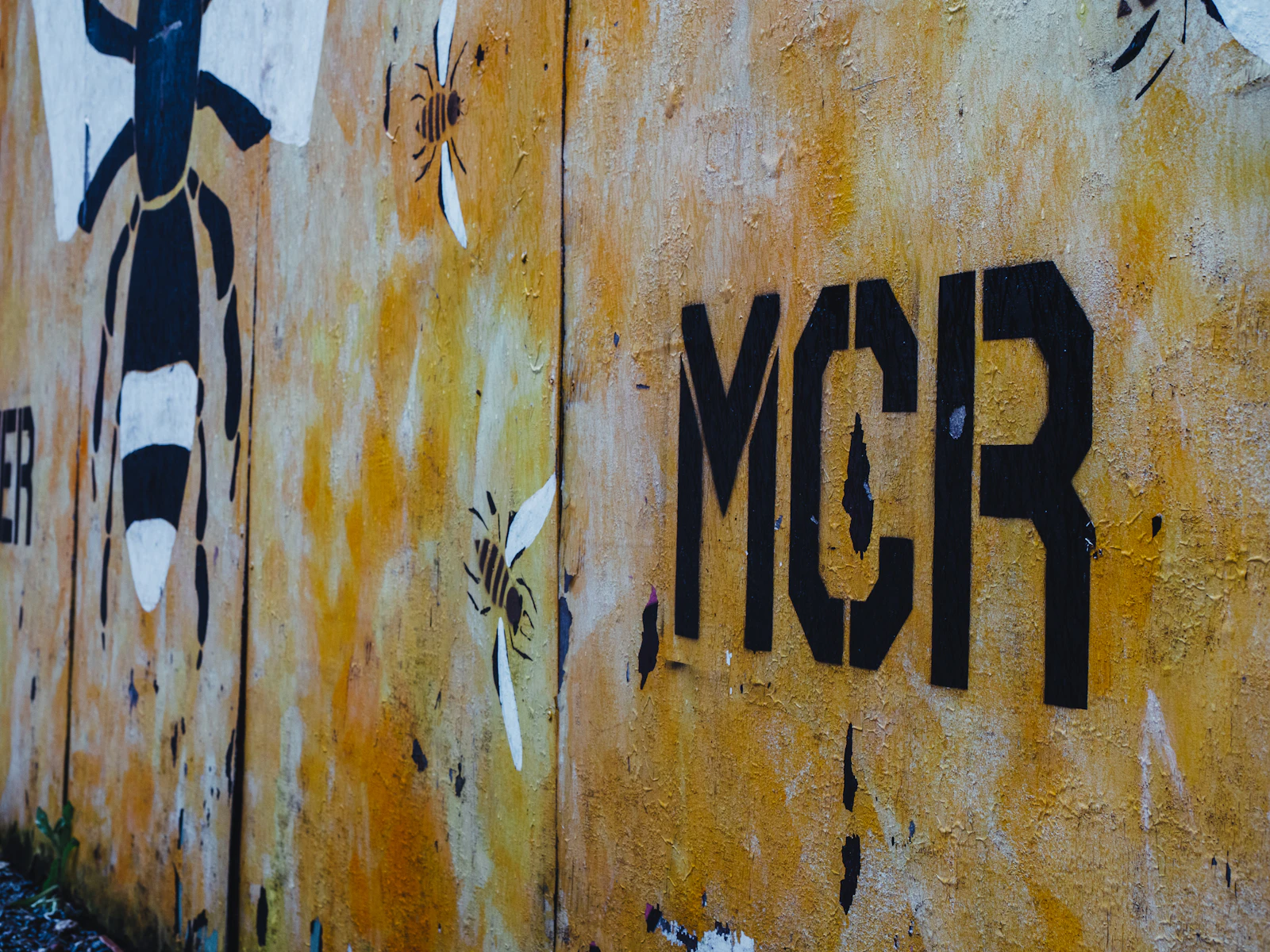 Manchester, United Kingdom photo 10 by Chris Curry