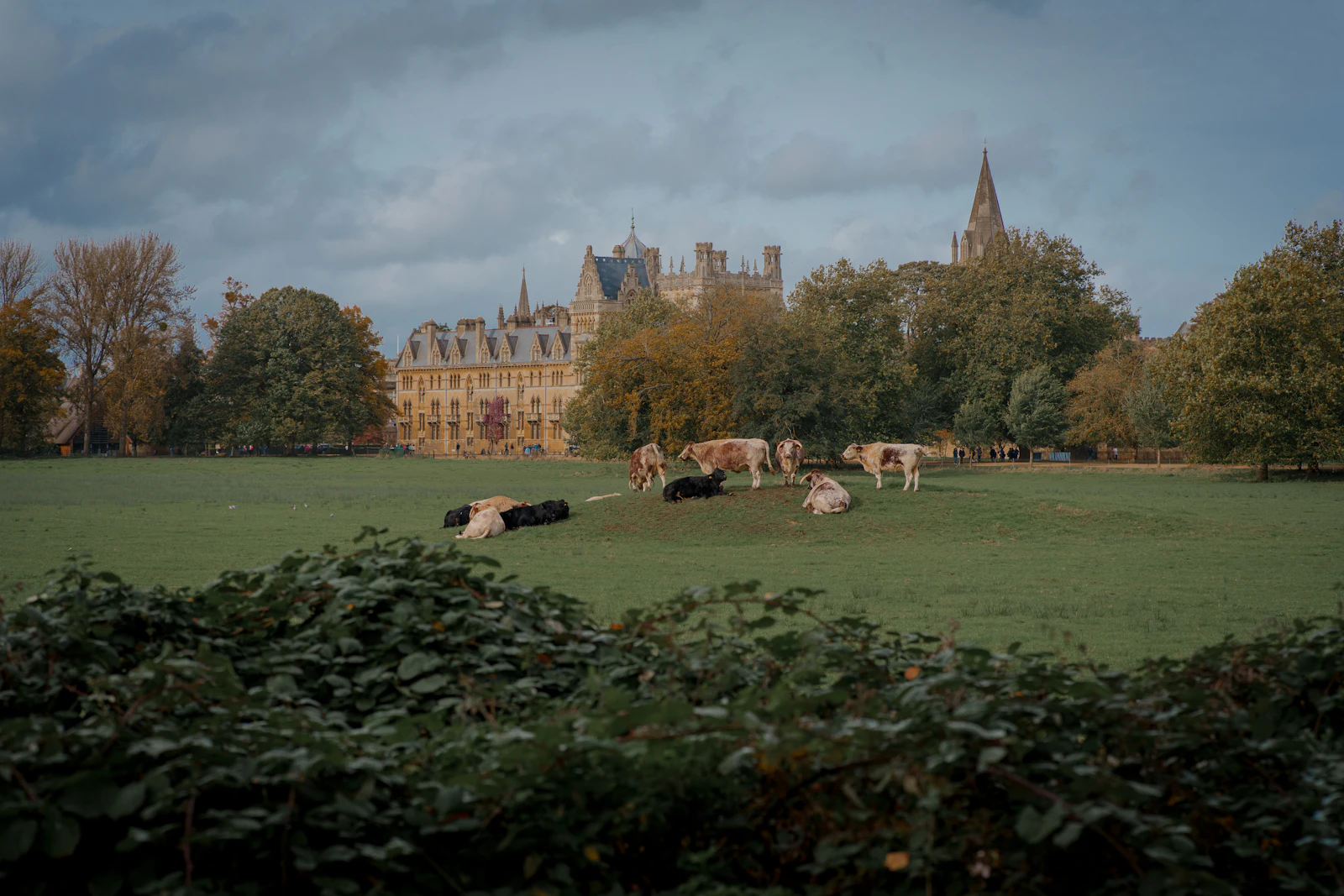 Oxford, United Kingdom photo 20 by BEN ELLIOTT