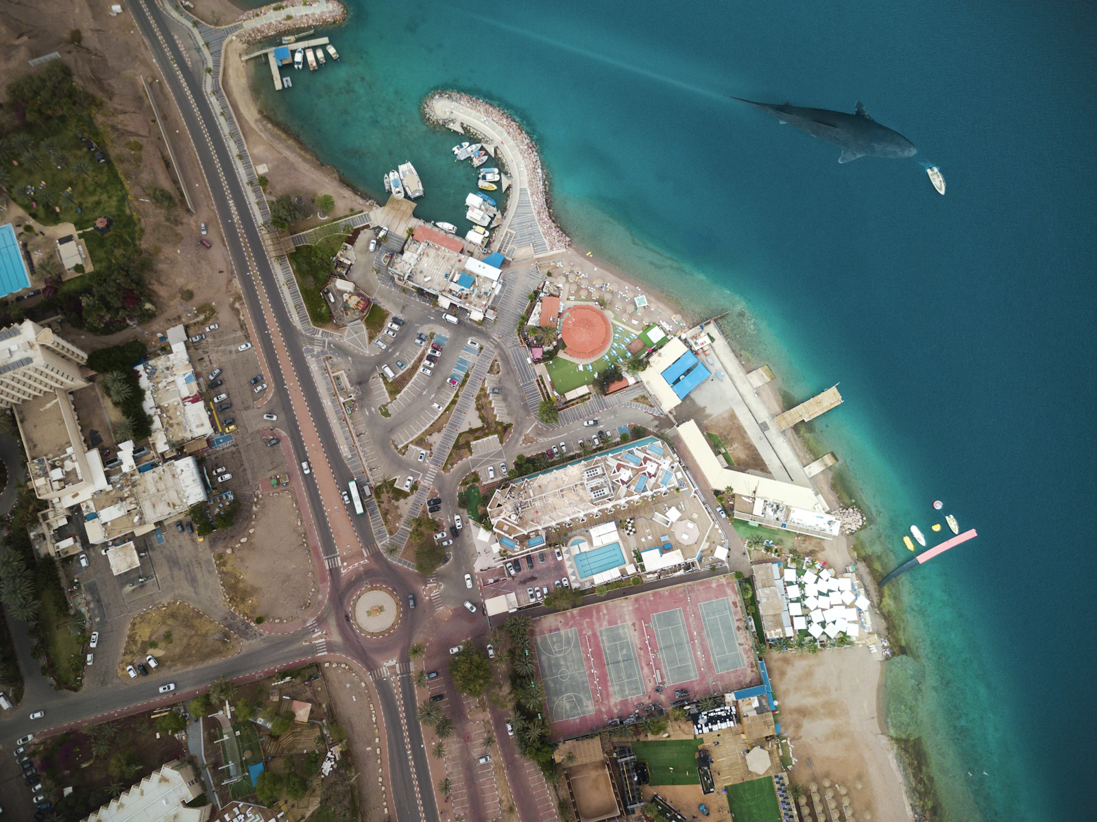 Eilat, Israel photo 5 by et yan