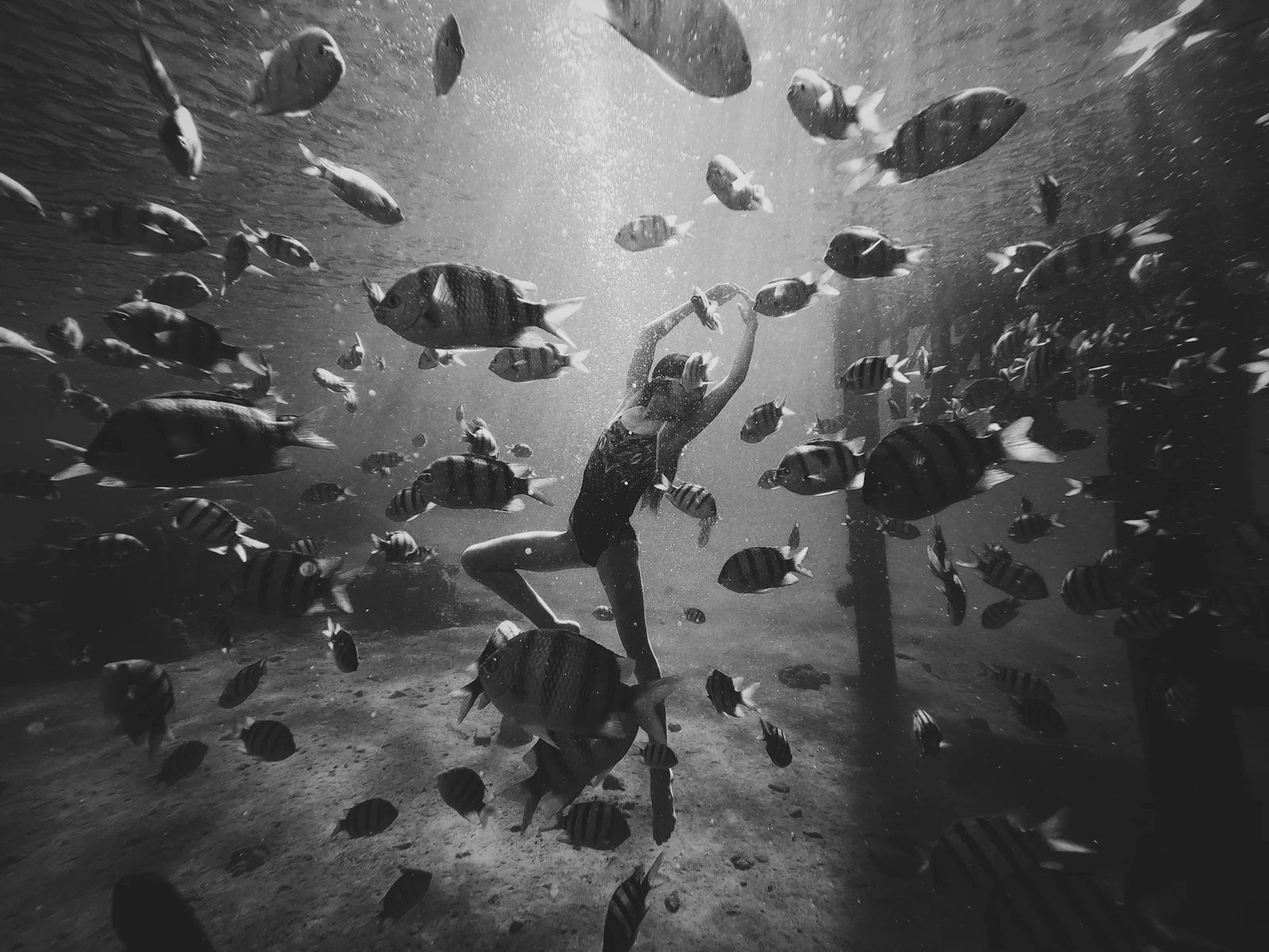 Eilat, Israel photo 13 by Vitaliy Paykov