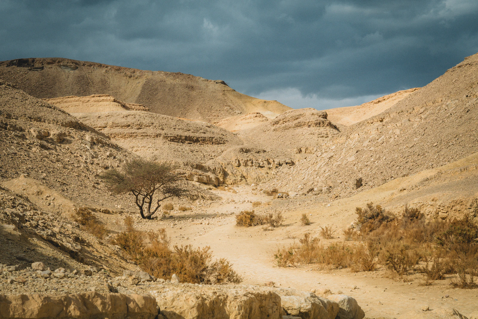 Eilat, Israel photo 24 by Jonathan Teff