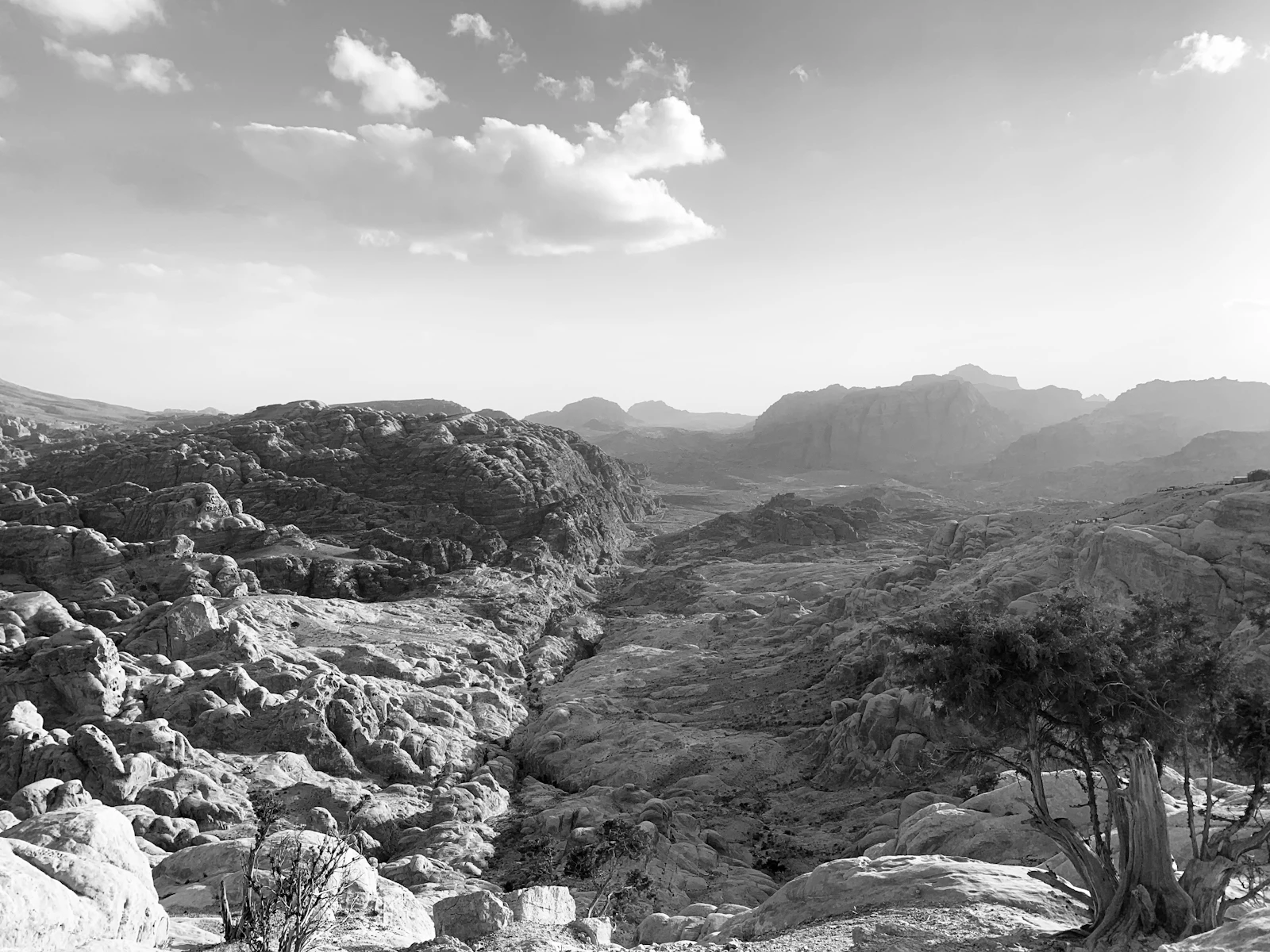 Aqaba, Jordan photo 8 by Accolade Creative