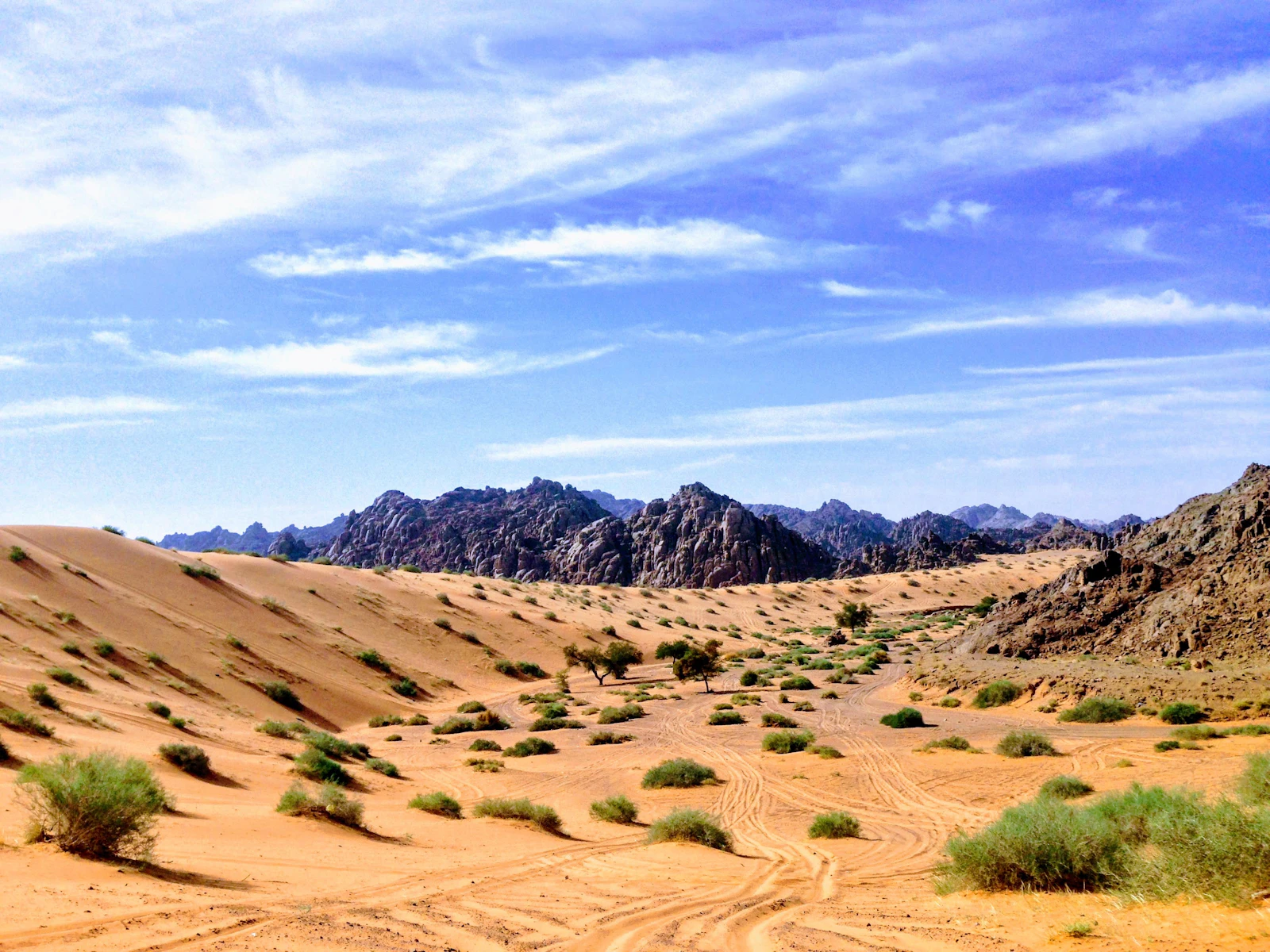 AlUla, Saudi Arabia photo 12 by Rabah Al Shammary