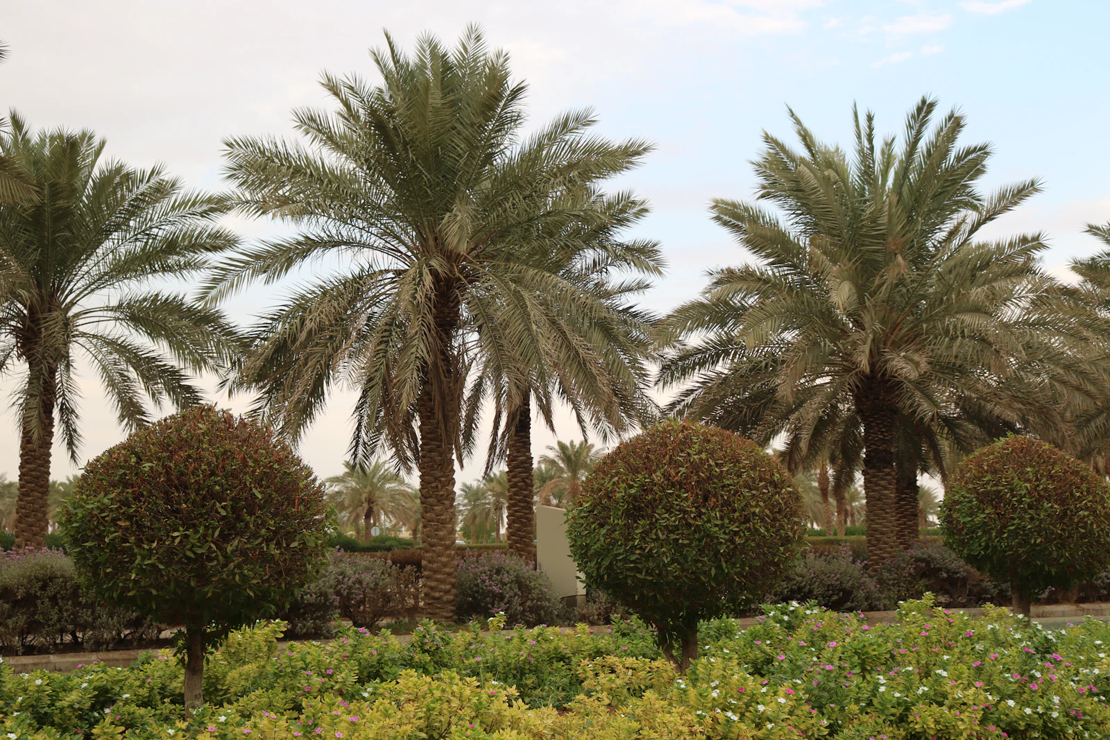 Riyadh, Saudi Arabia photo 22 by yaser alakeel