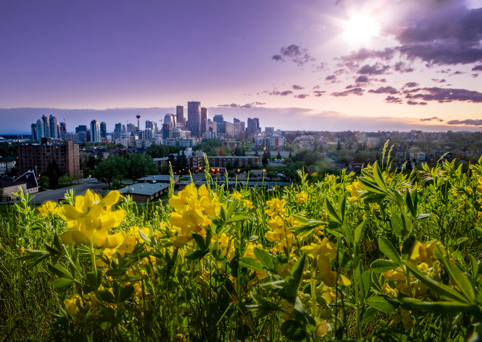 Calgary, Canada photo 21 by Brooks DeCillia