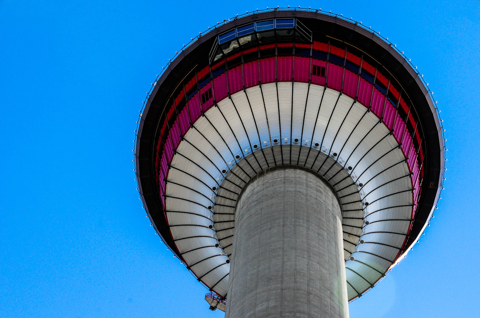 Calgary, Canada photo 18 by Toni  Reed