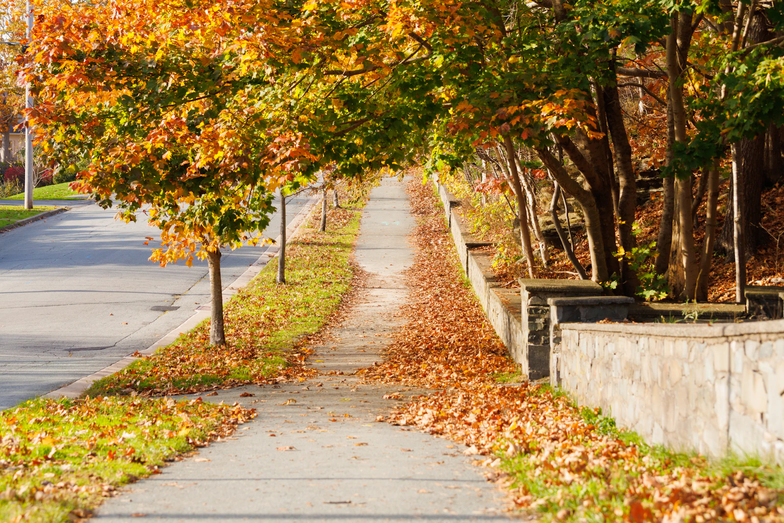 Halifax, Canada photo 24 by Jan Budomo