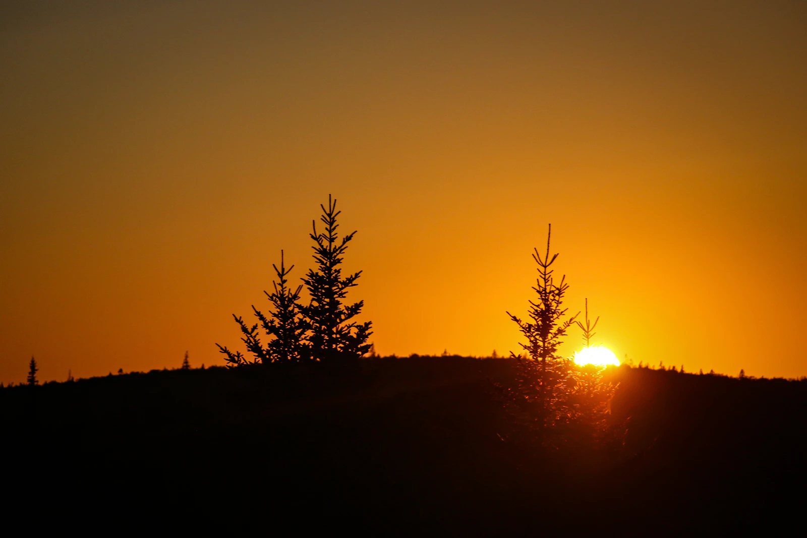 Halifax, Canada photo 18 by Dariia Lemesheva