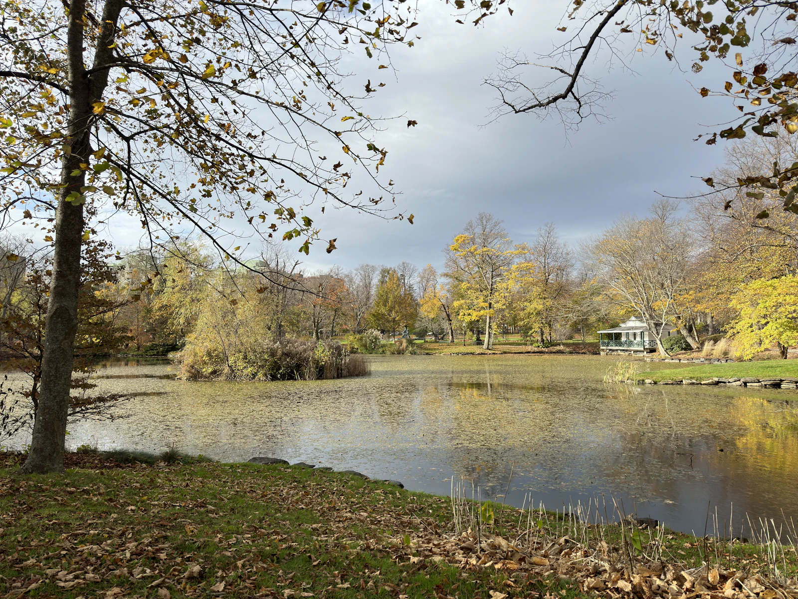 Halifax, Canada photo 7 by Harry
