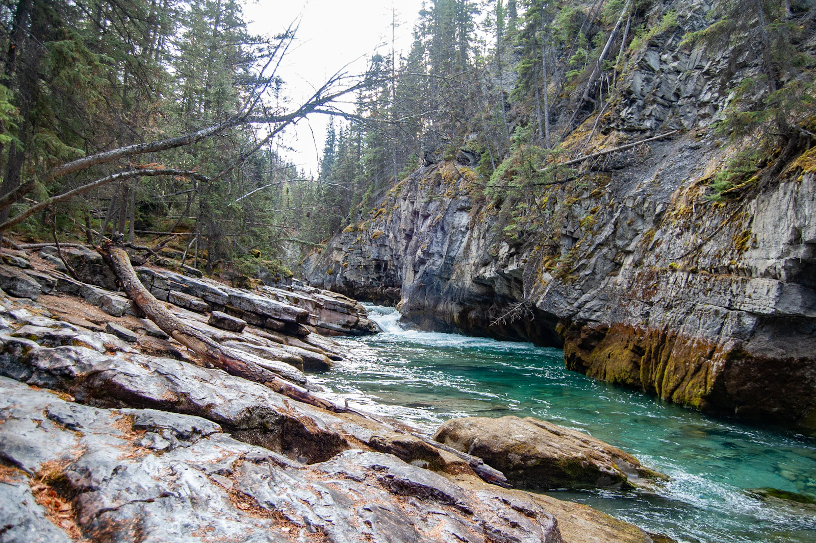Jasper, Canada photo 19 by Delphine Beausoleil