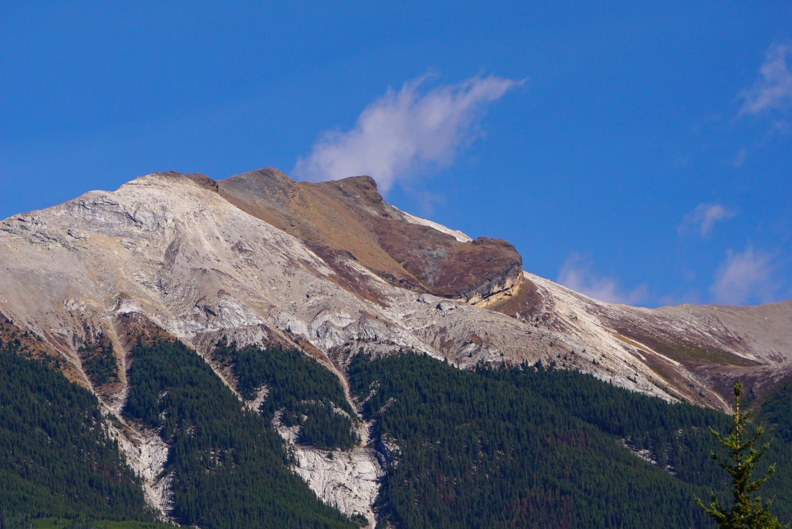 Jasper, Canada photo 28 by Nunzio Guerrera
