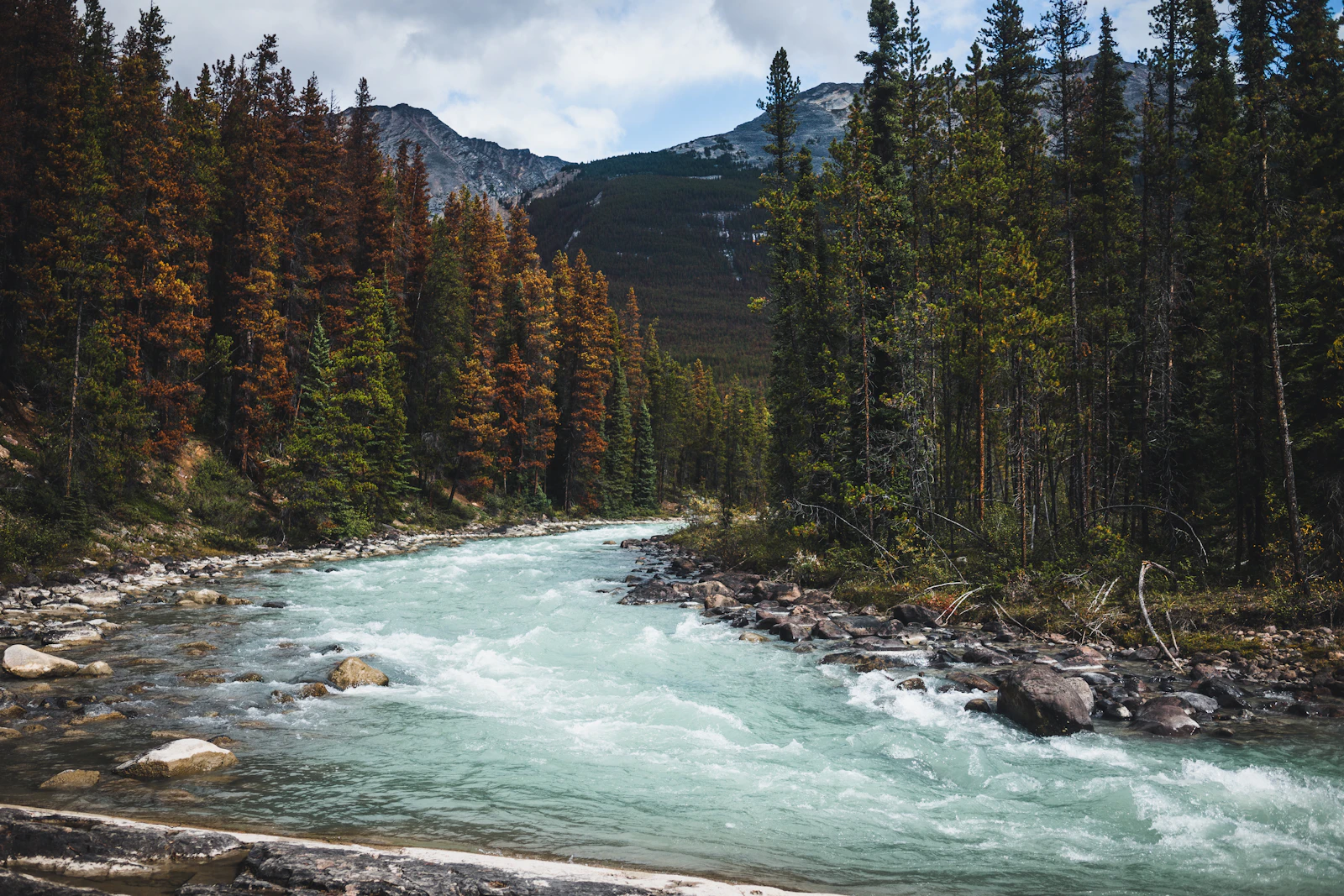 Jasper, Canada photo 2 by Neil Cooper