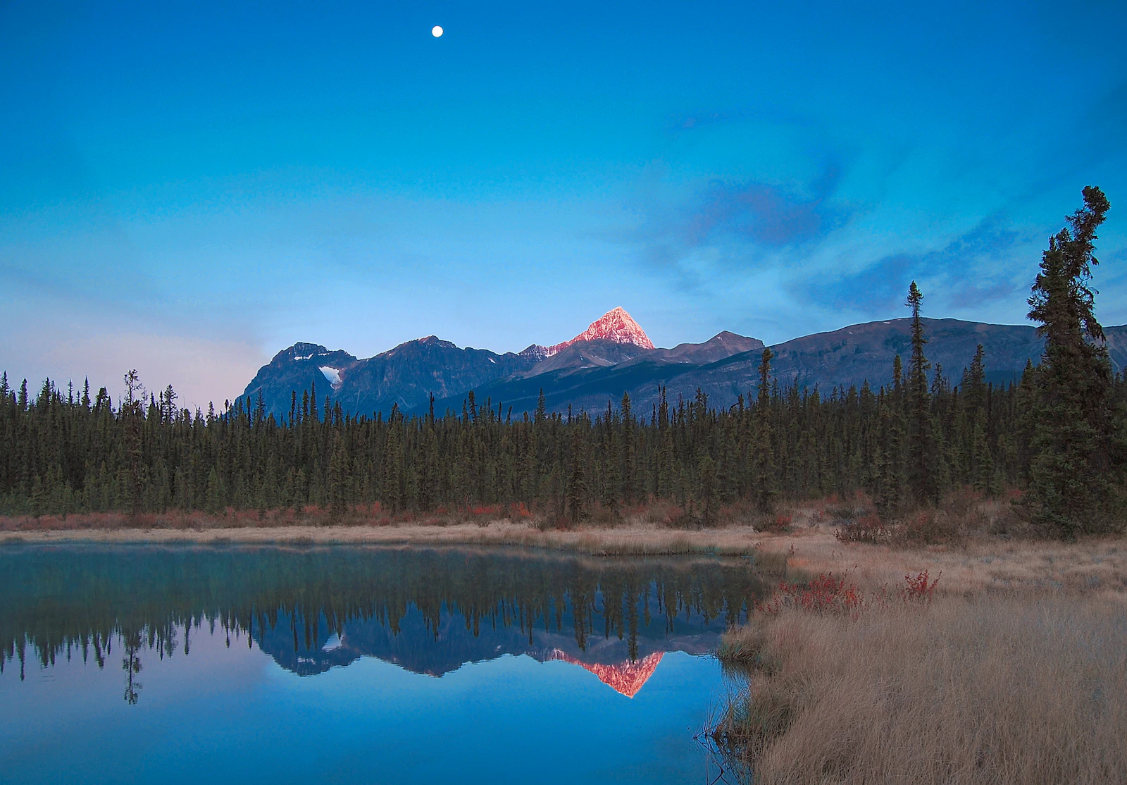 Jasper, Canada photo 13 by Nunzio Guerrera