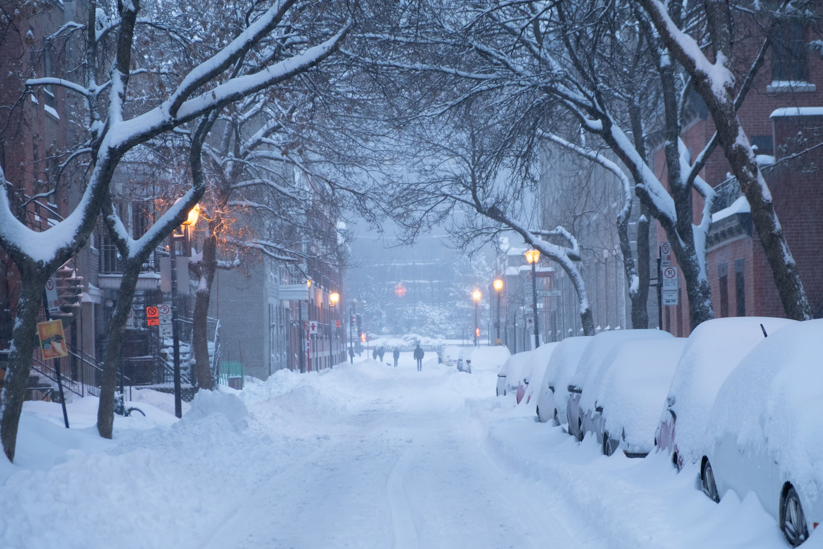Montreal, Canada photo 10 by Shawn Dearn