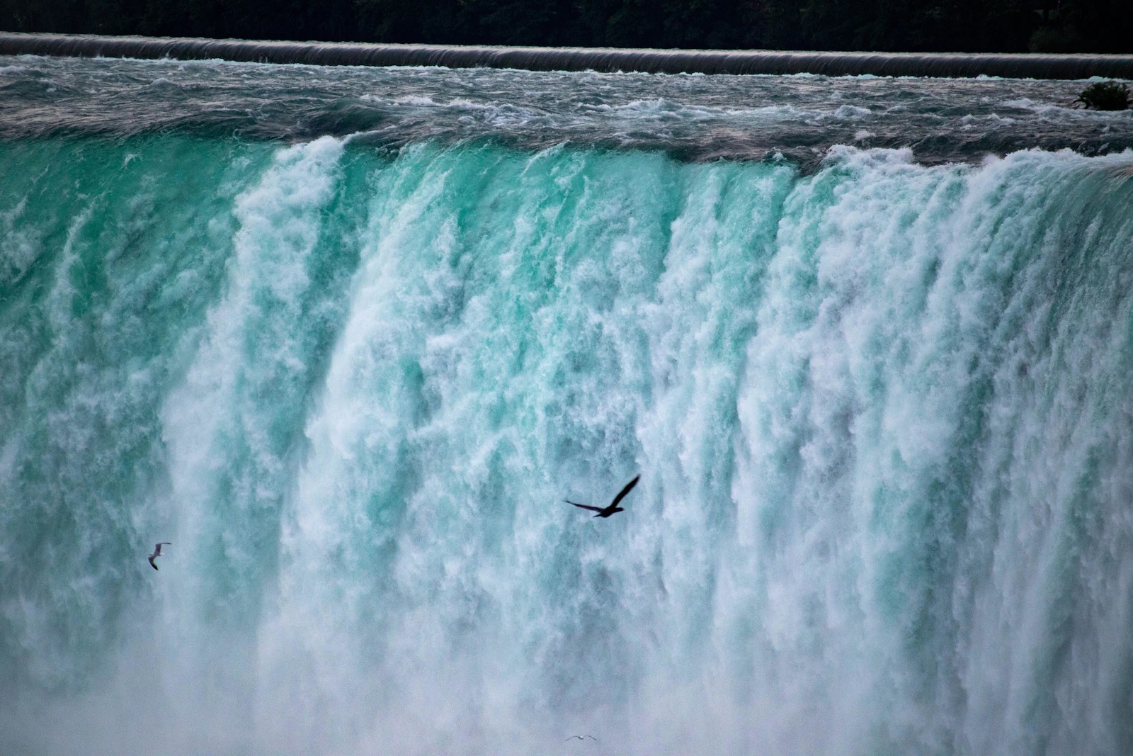 Niagara Falls, Canada photo 13 by Kshiti Patel