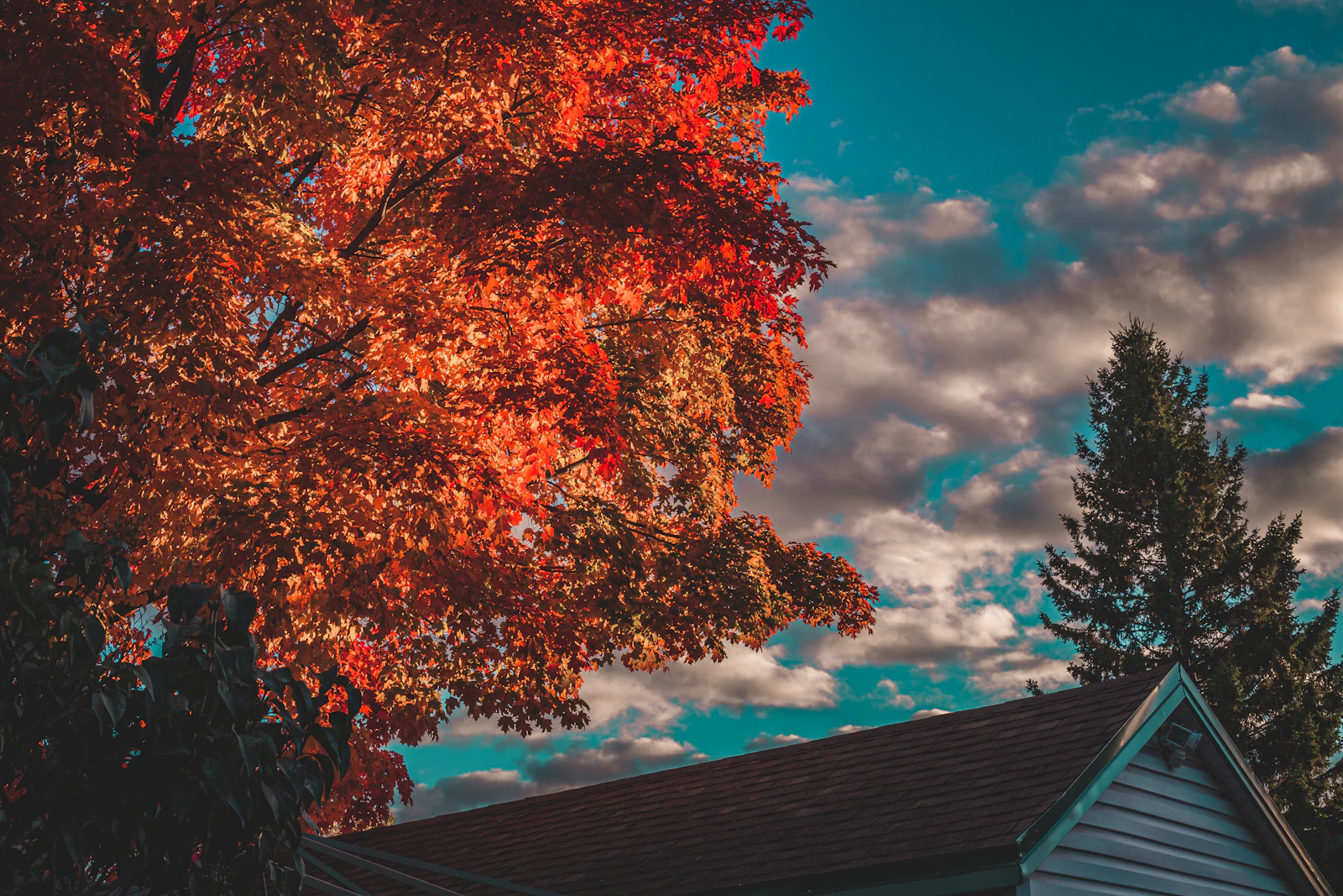 Quebec City, Canada photo 30 by Alex Albert