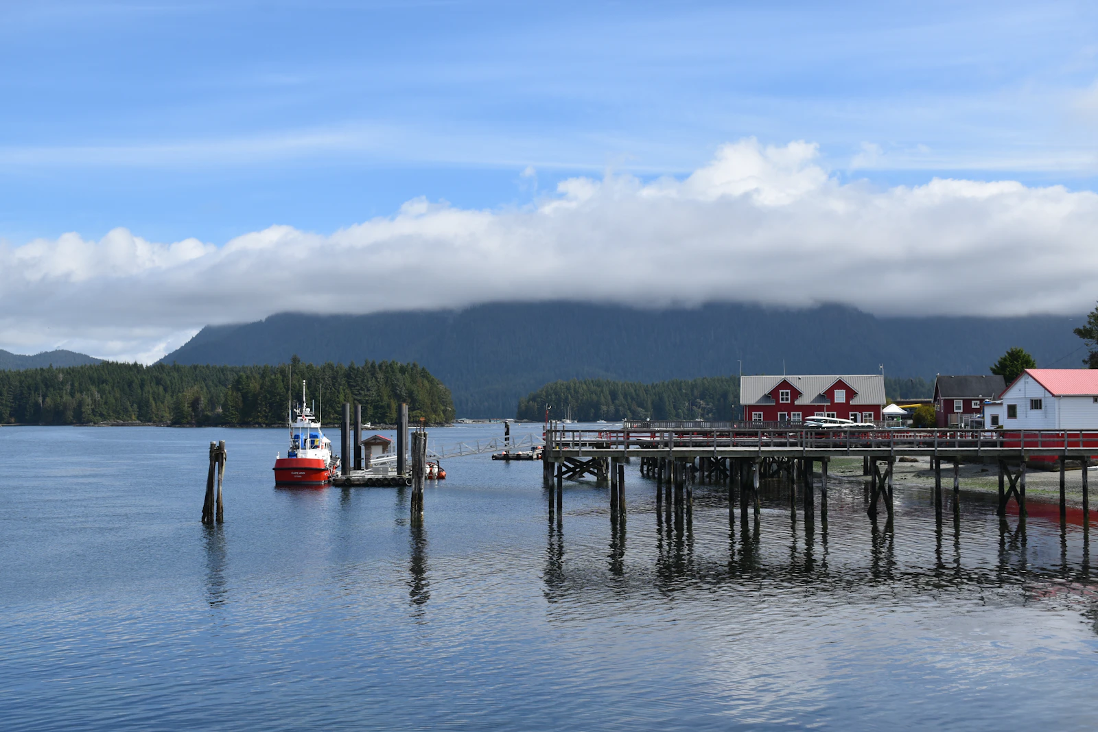 Tofino, Canada photo 11 by Claude Laprise