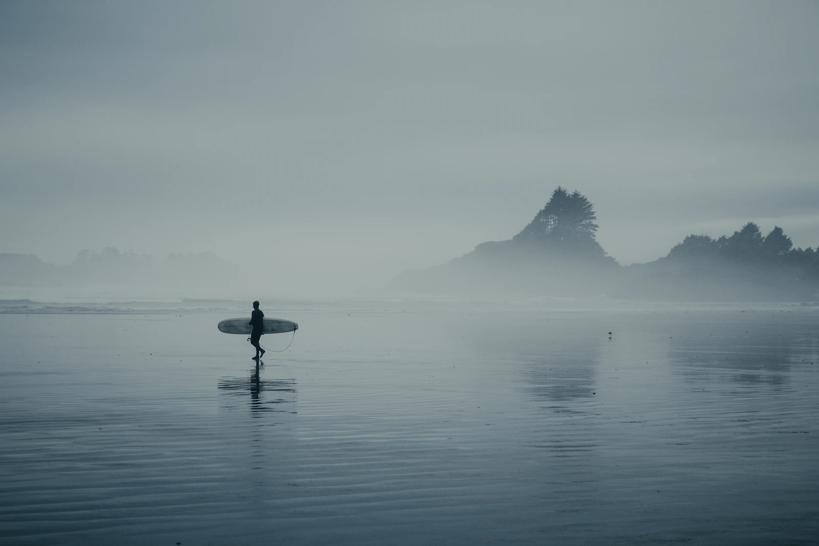 Tofino, Canada photo 19 by Shana Van Roosbroek