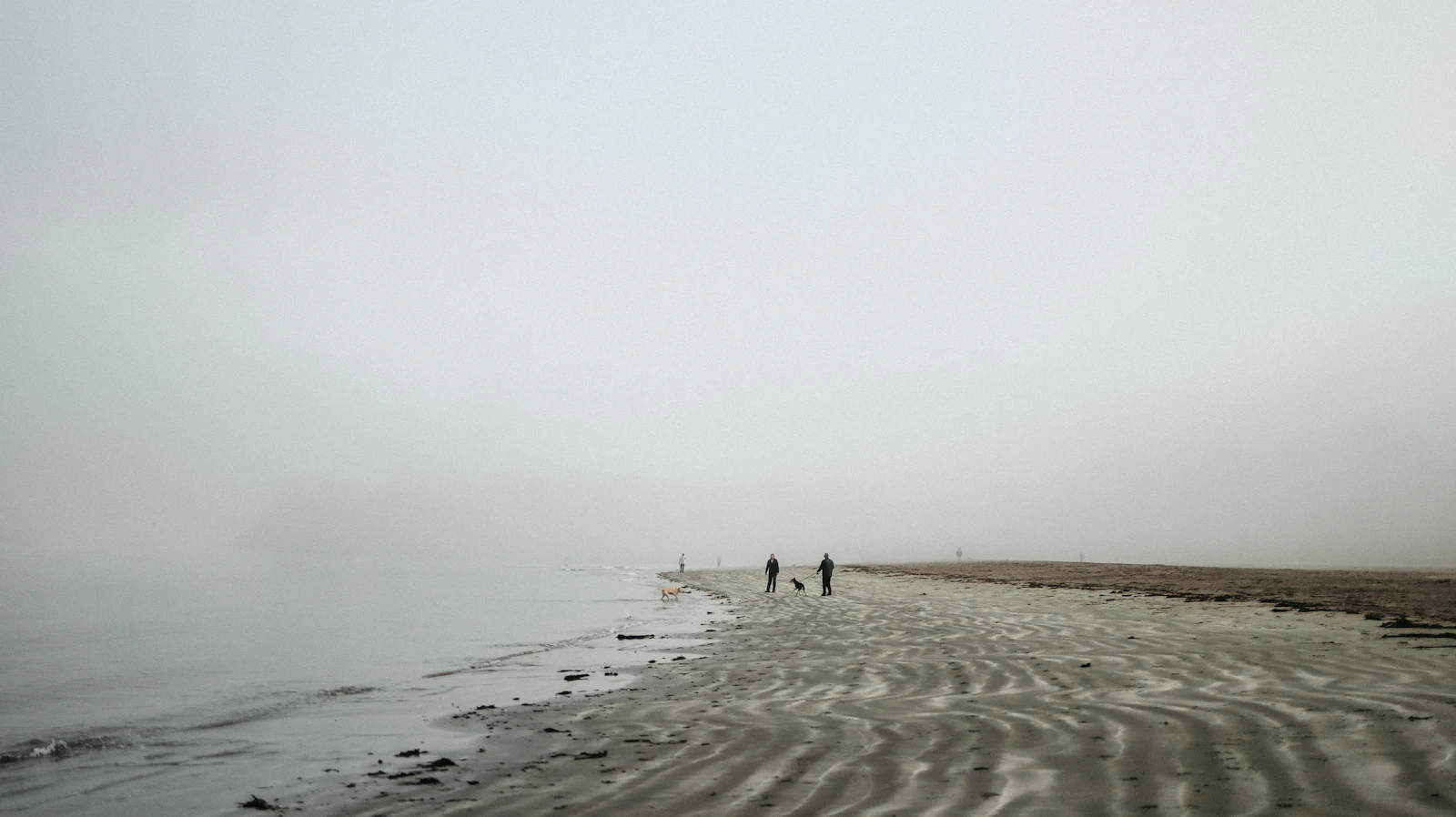 Tofino, Canada photo 24 by sofia neumann