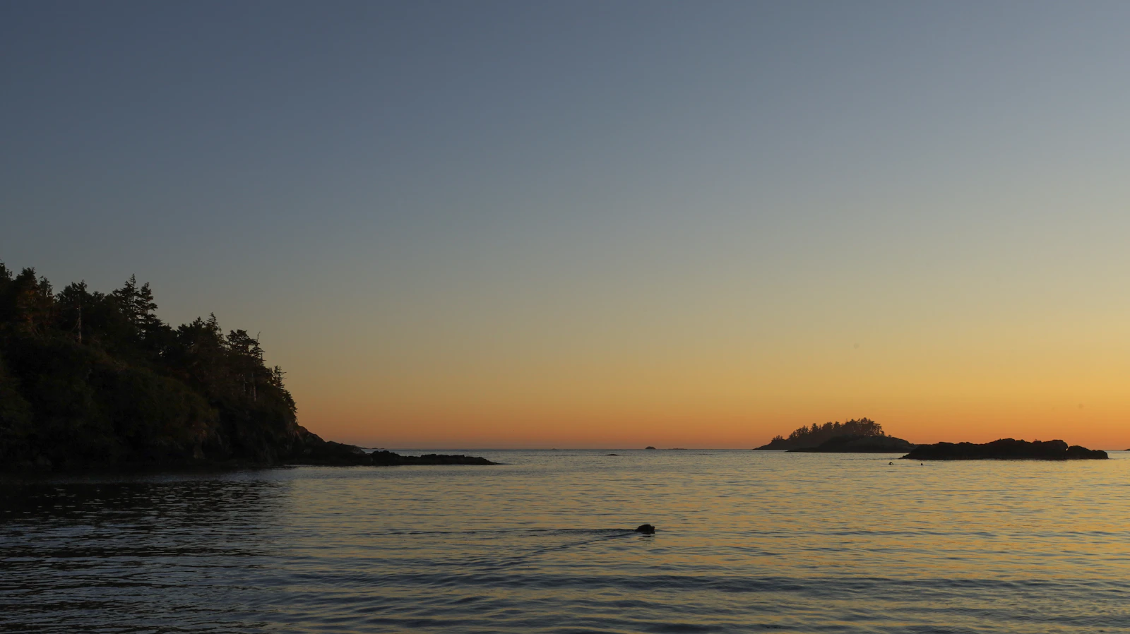 Tofino, Canada photo 17 by sofia neumann