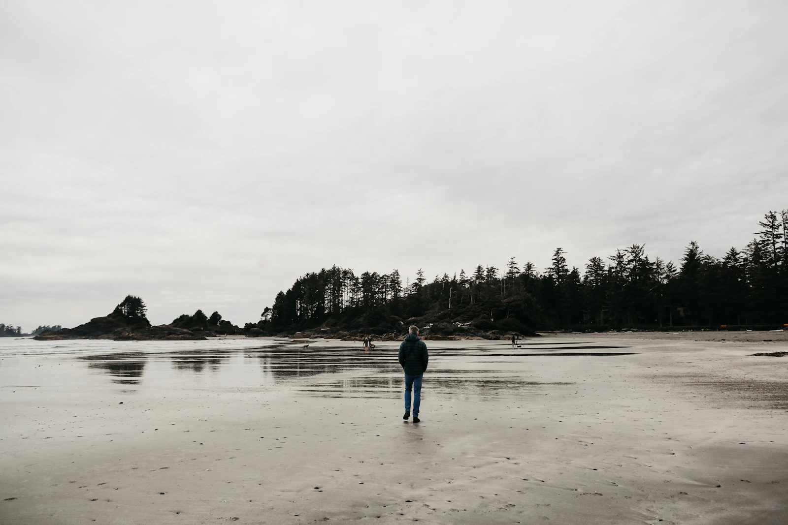 Tofino, Canada photo 22 by sofia neumann