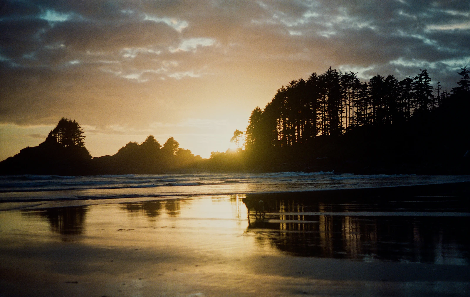 Tofino, Canada photo 20 by Alexandrine Roy