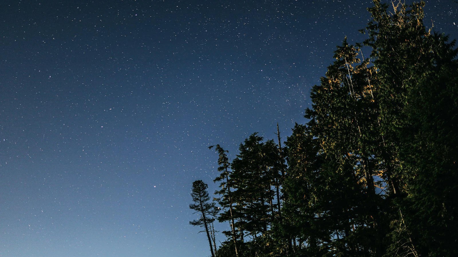 Tofino, Canada photo 26 by sofia neumann