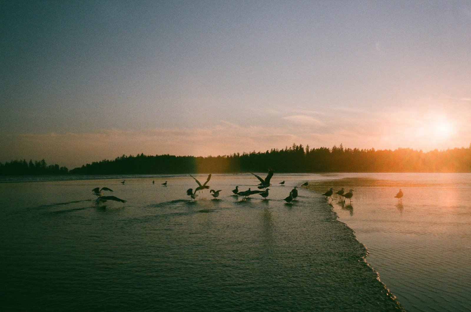 Tofino, Canada photo 25 by Alexandrine Roy