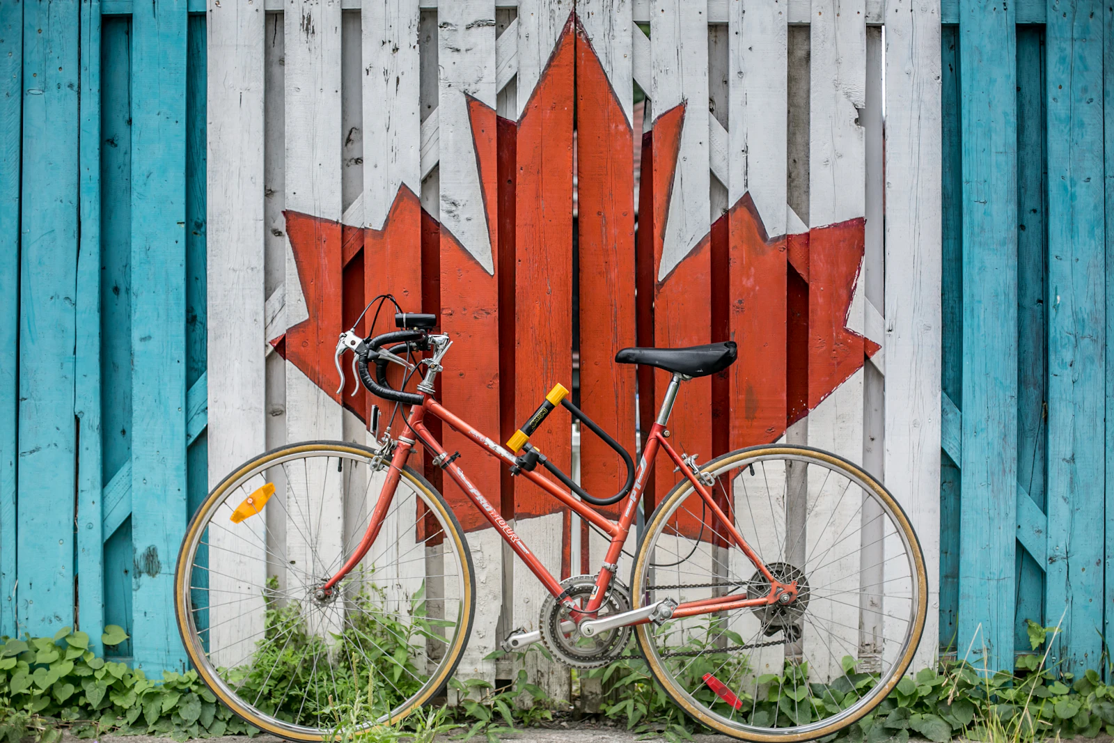 Toronto, Canada photo 26 by Ali Tawfiq