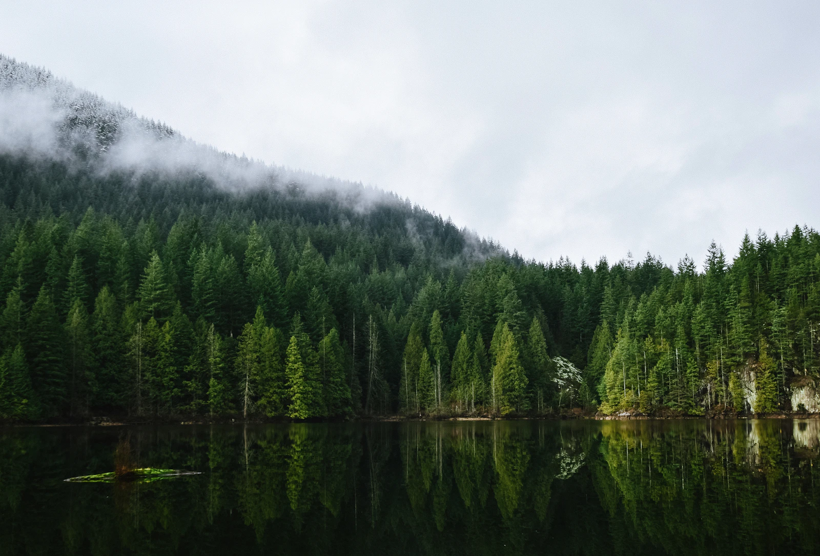 Vancouver, Canada photo 5 by Jeremy Allouche